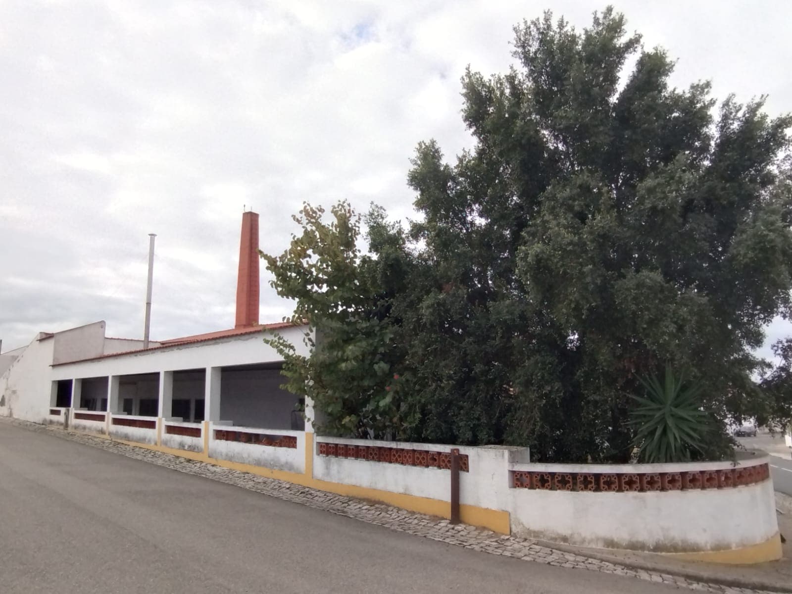 Estabelecimento Comercial · Torrão, Alcácer do Sal — imagen 12