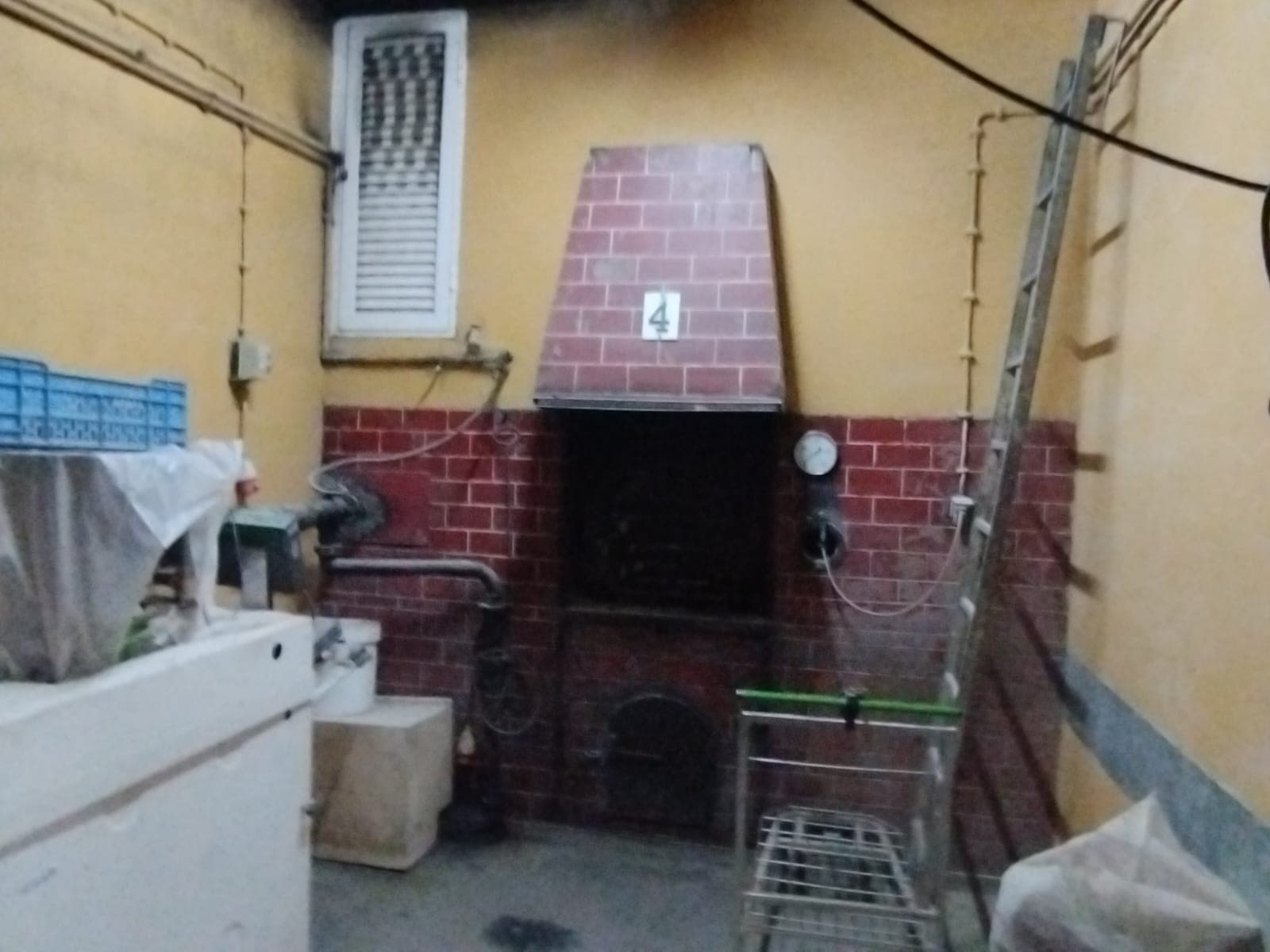 Estabelecimento Comercial · Torrão, Alcácer do Sal — imagen 19