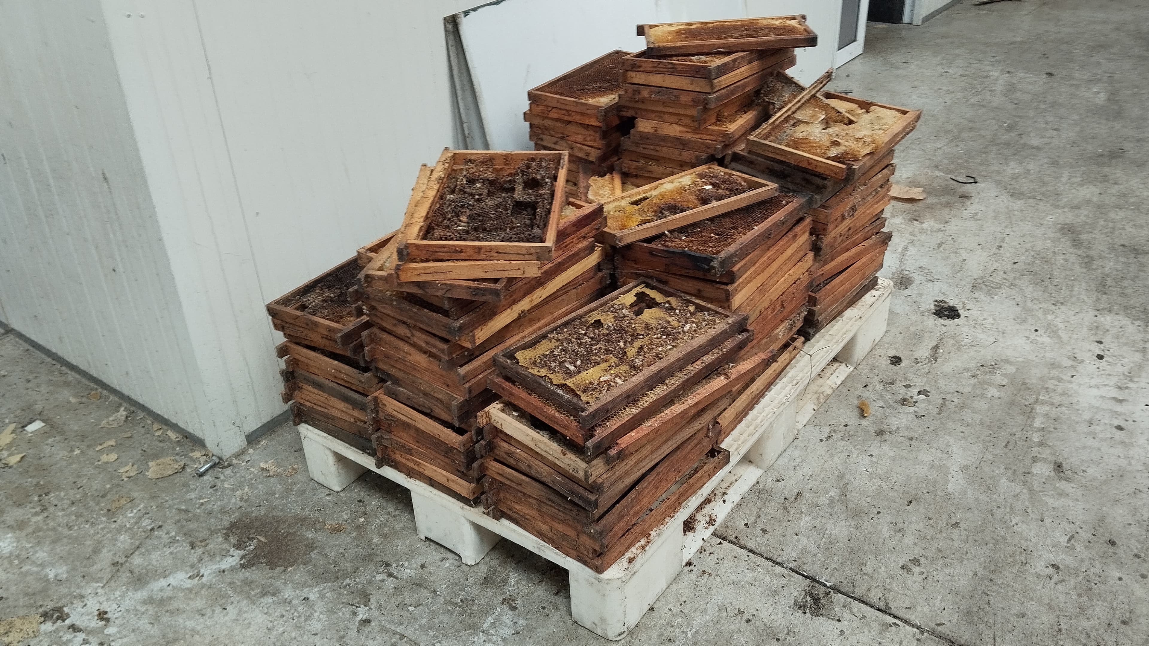 Equipamentos para o Setor de Apicultura — imagem 20