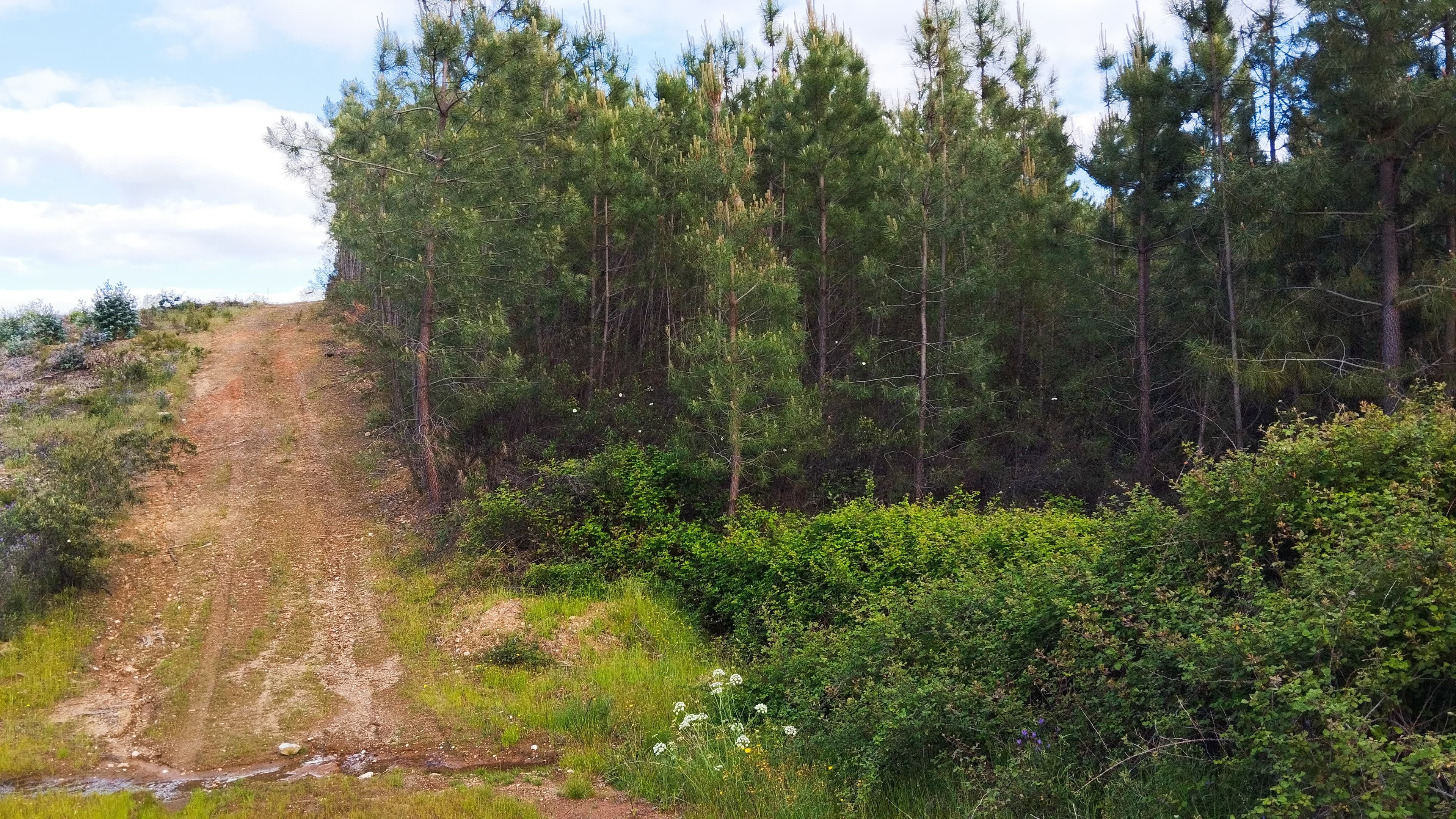 Proporção de 1/3 de Terreno · São Vicente da Beira, Castelo Branco — imagem 4