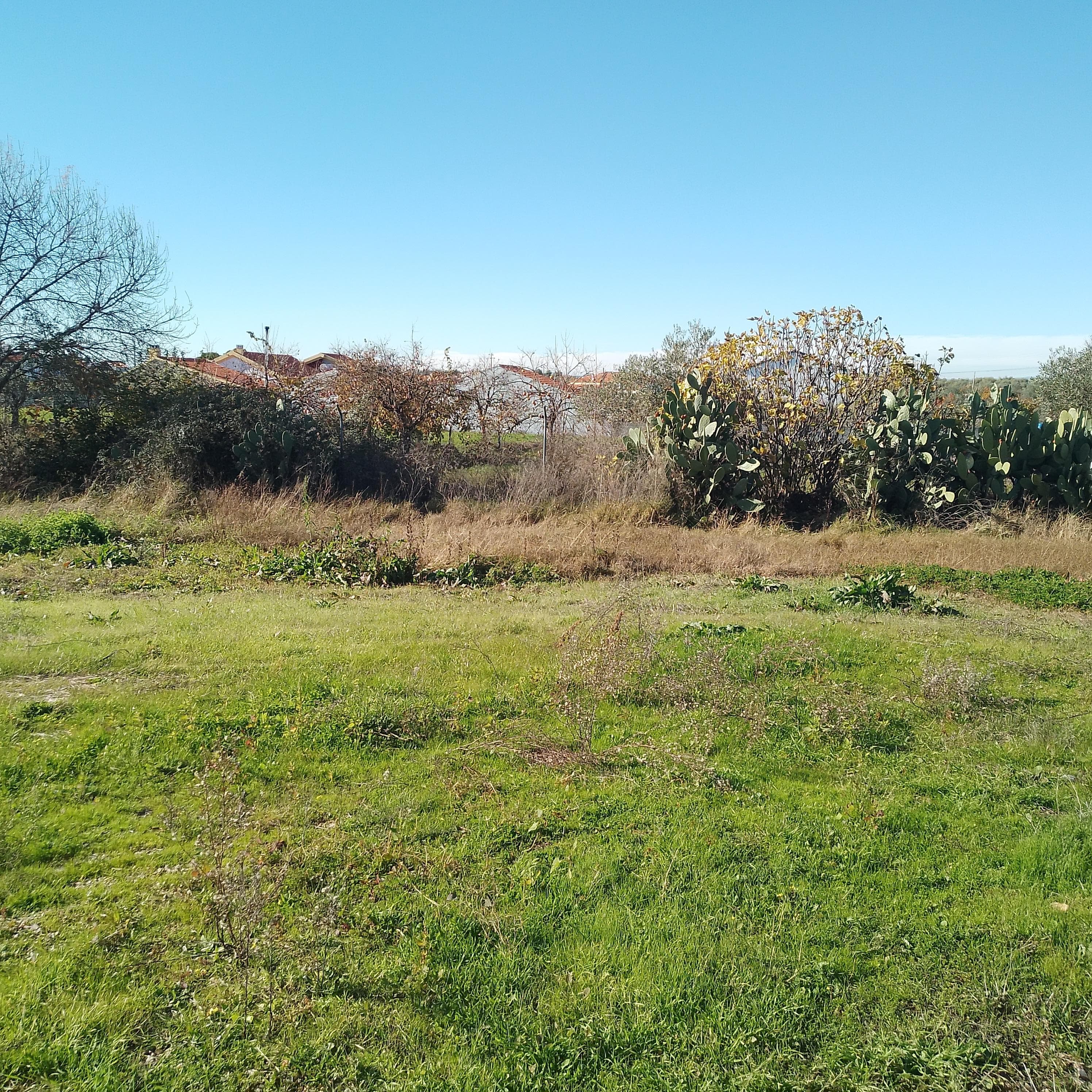 Moradia + Terrenos · Ladoeiro, Idanha-a-Nova — image 34