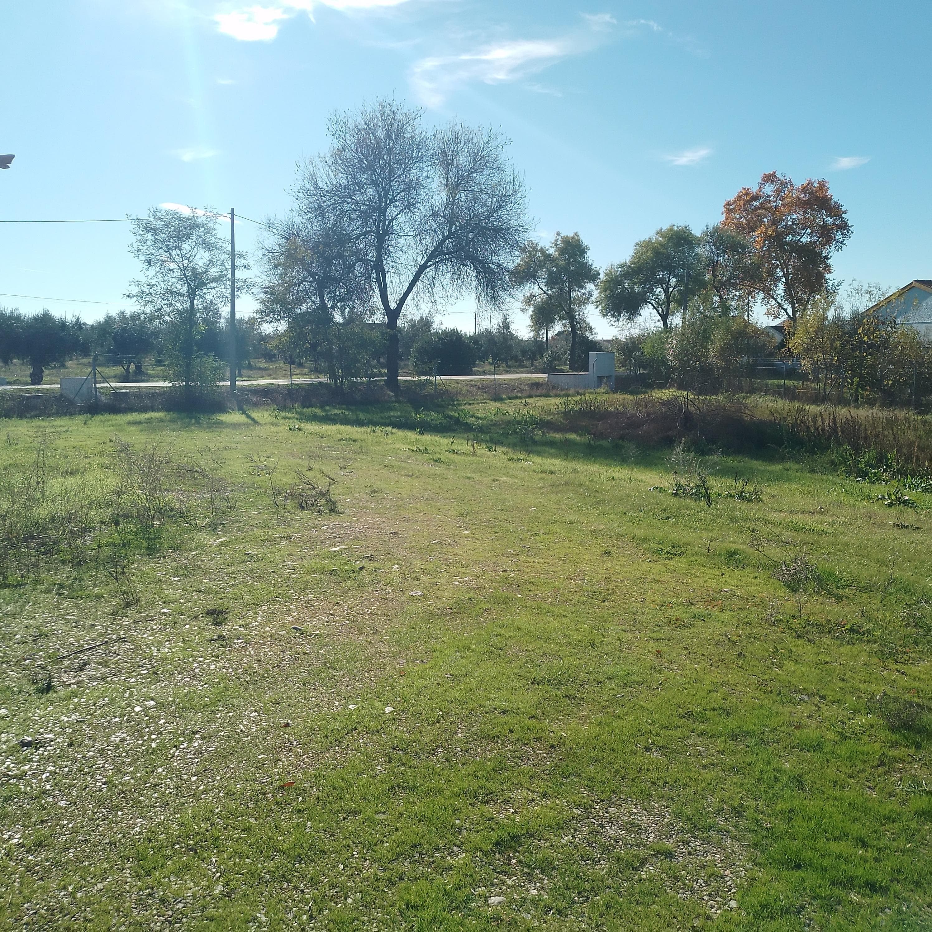 Moradia + Terrenos · Ladoeiro, Idanha-a-Nova — image 35
