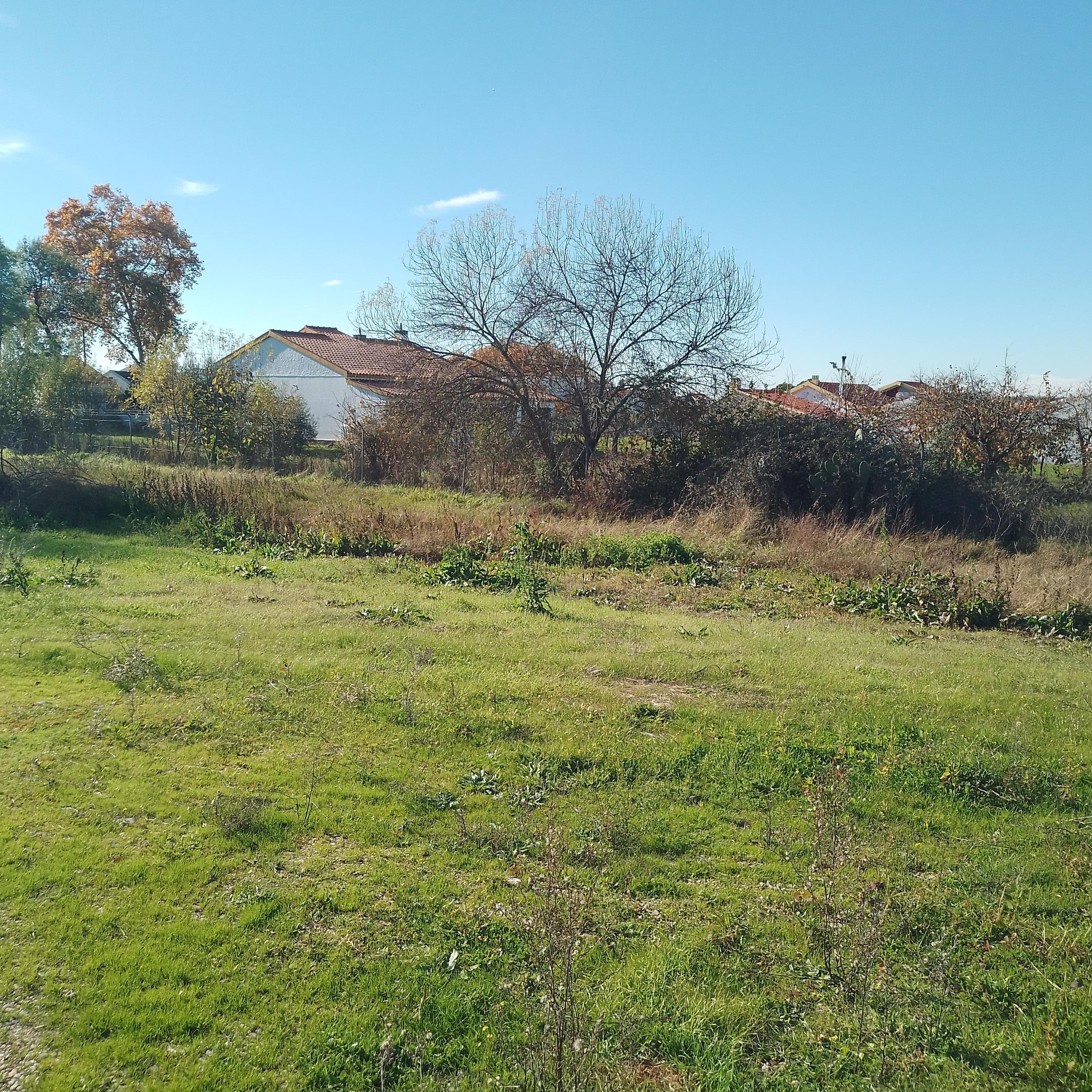 Moradia + Terrenos · Ladoeiro, Idanha-a-Nova — image 37