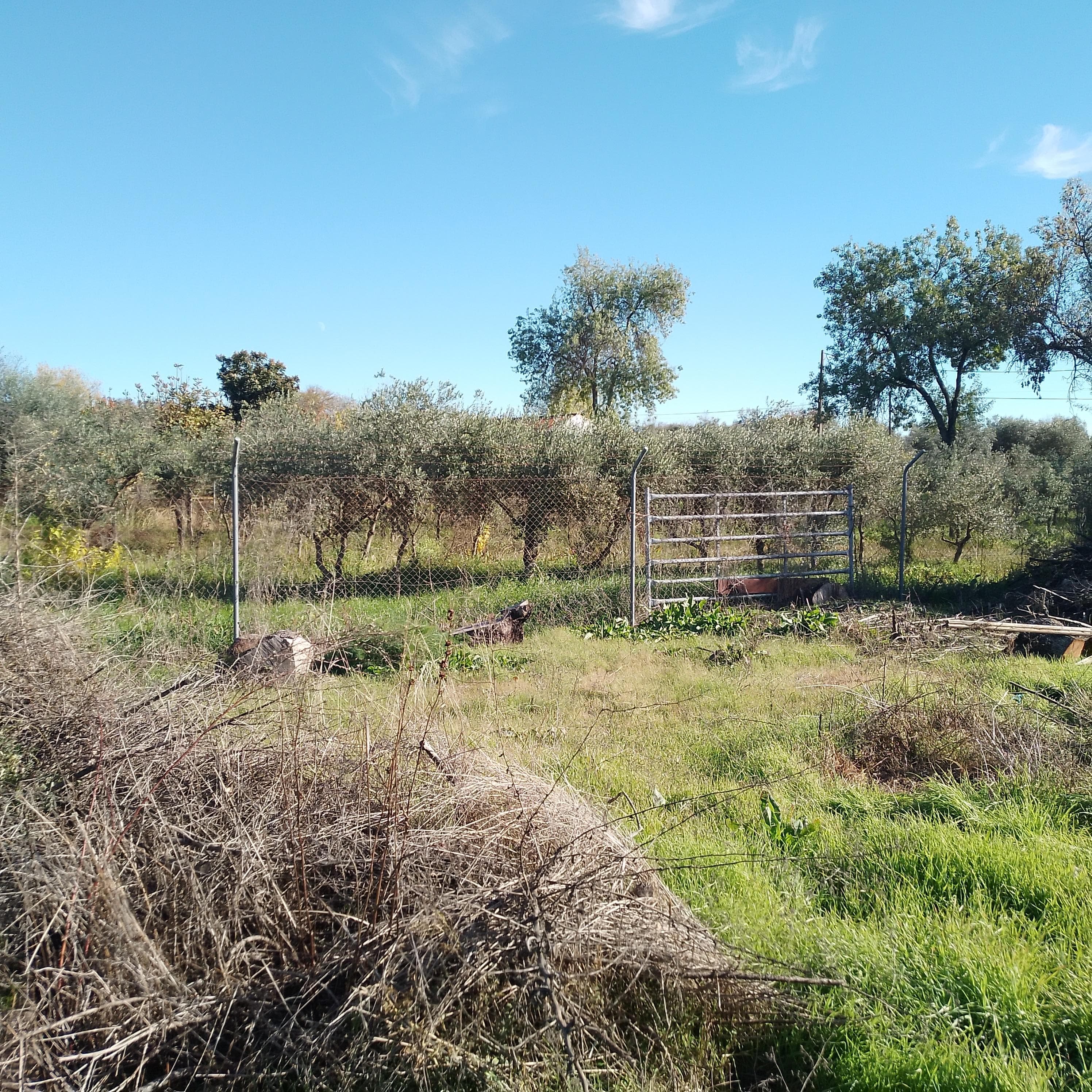 Moradia + Terrenos · Ladoeiro, Idanha-a-Nova — image 32