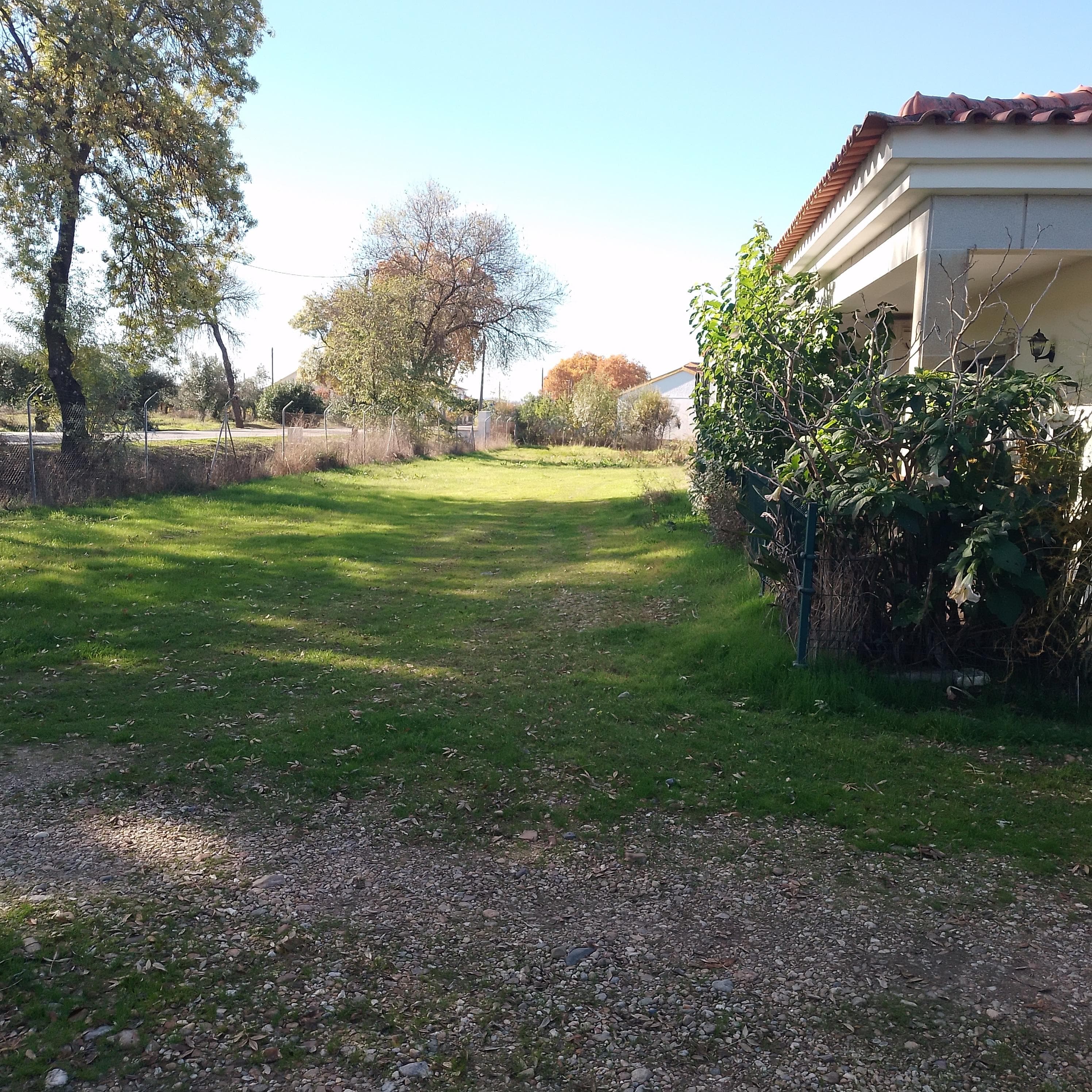 Moradia + Terrenos · Ladoeiro, Idanha-a-Nova — image 9