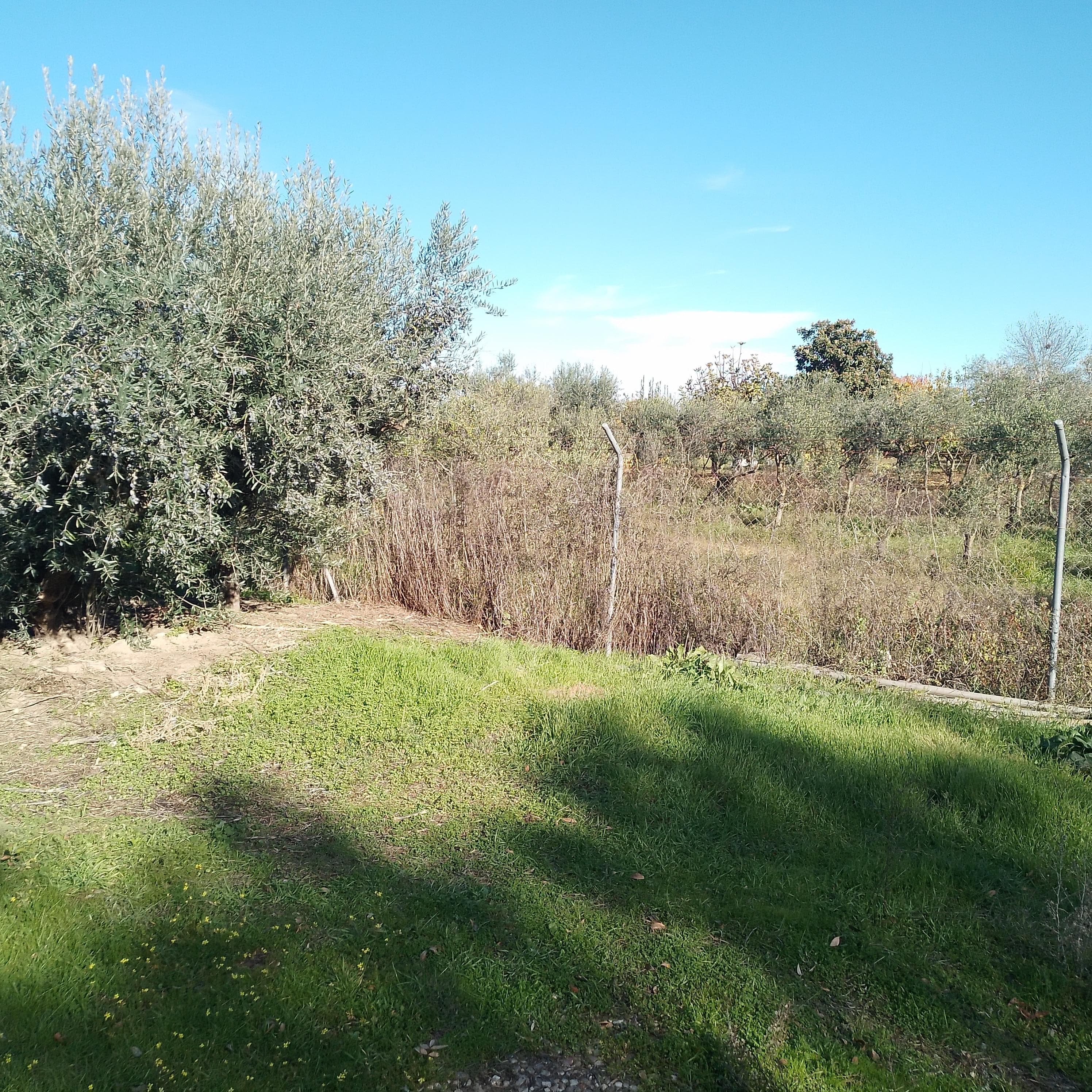 Moradia + Terrenos · Ladoeiro, Idanha-a-Nova — image 33