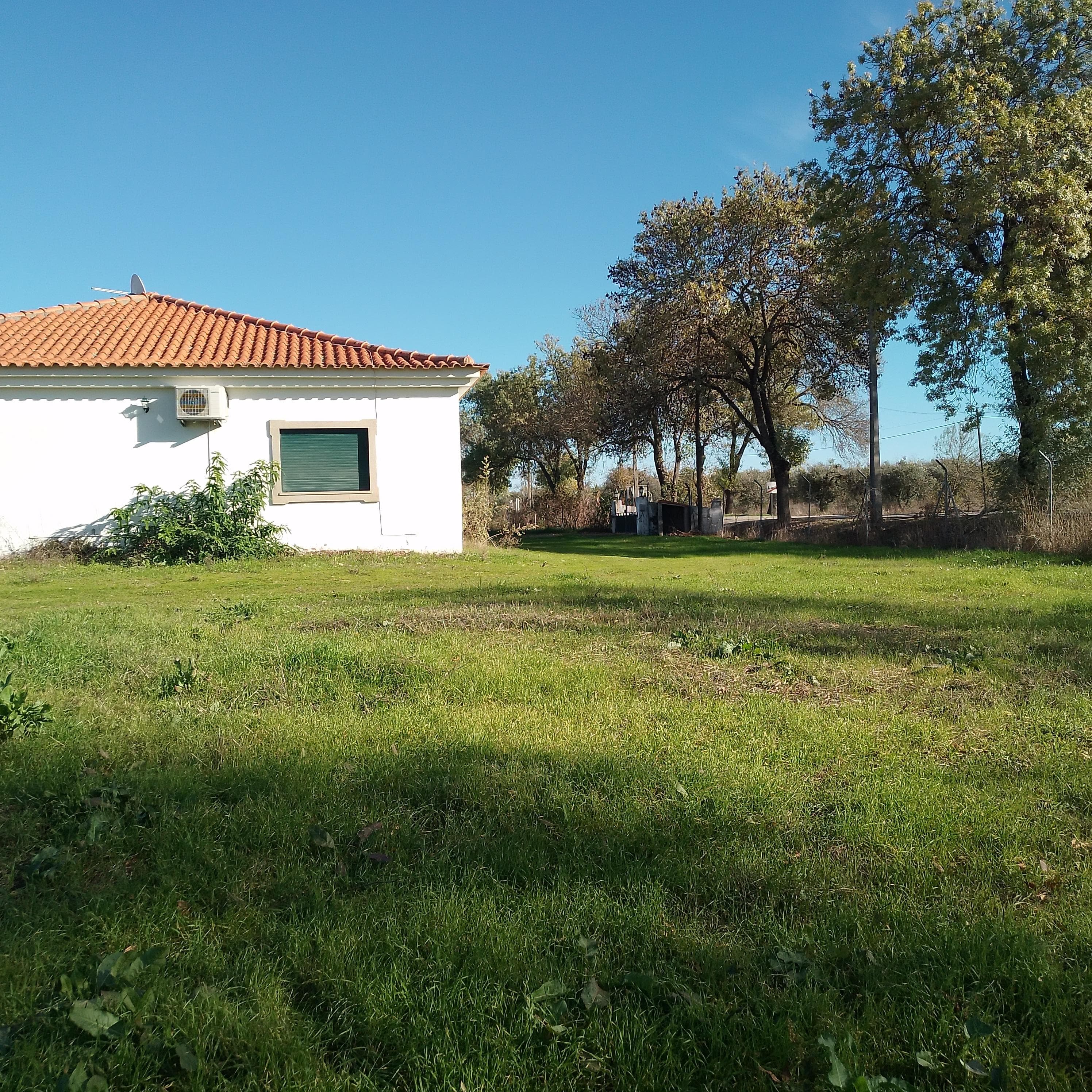 Moradia + Terrenos · Ladoeiro, Idanha-a-Nova — image 5