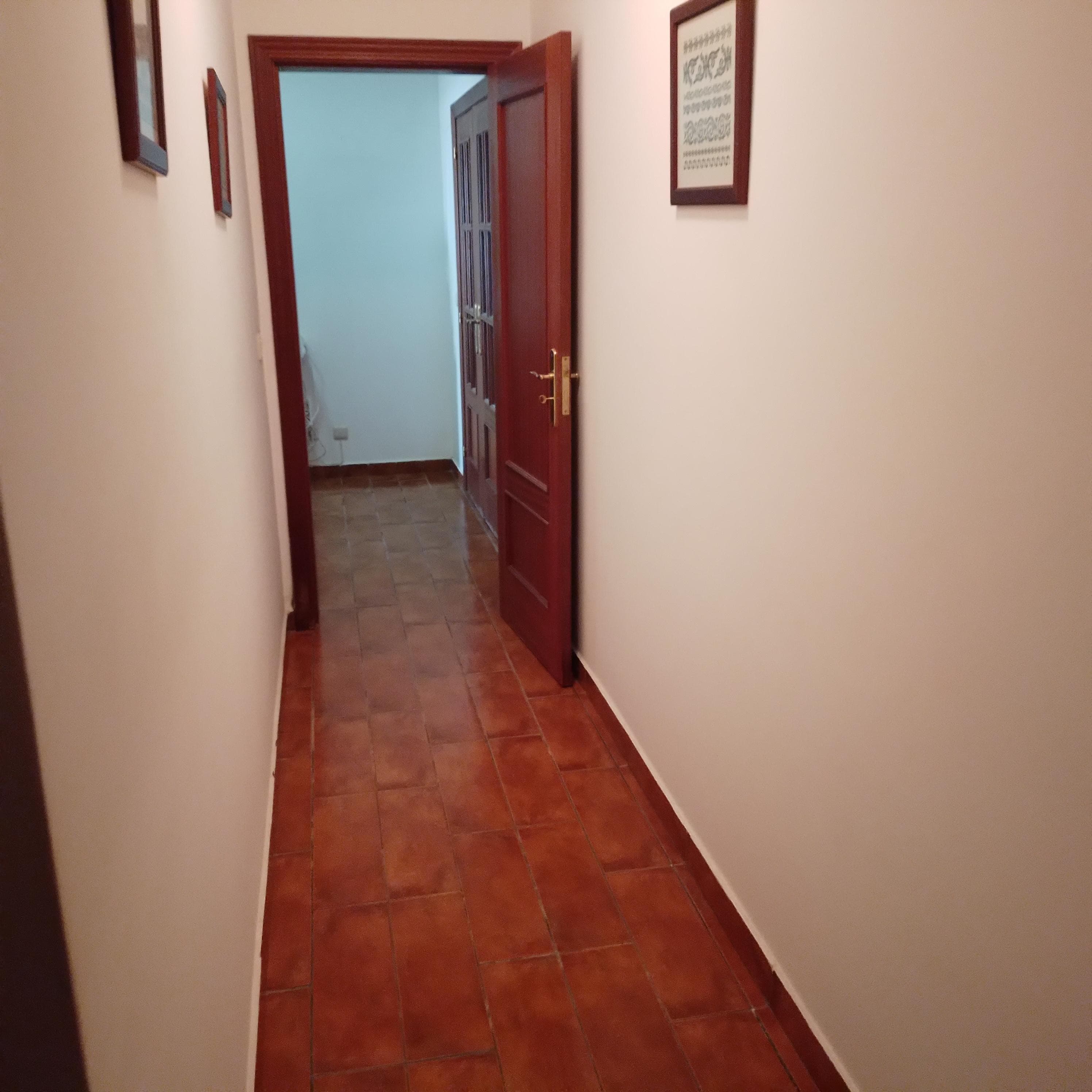 Moradia + Terrenos · Ladoeiro, Idanha-a-Nova — image 21