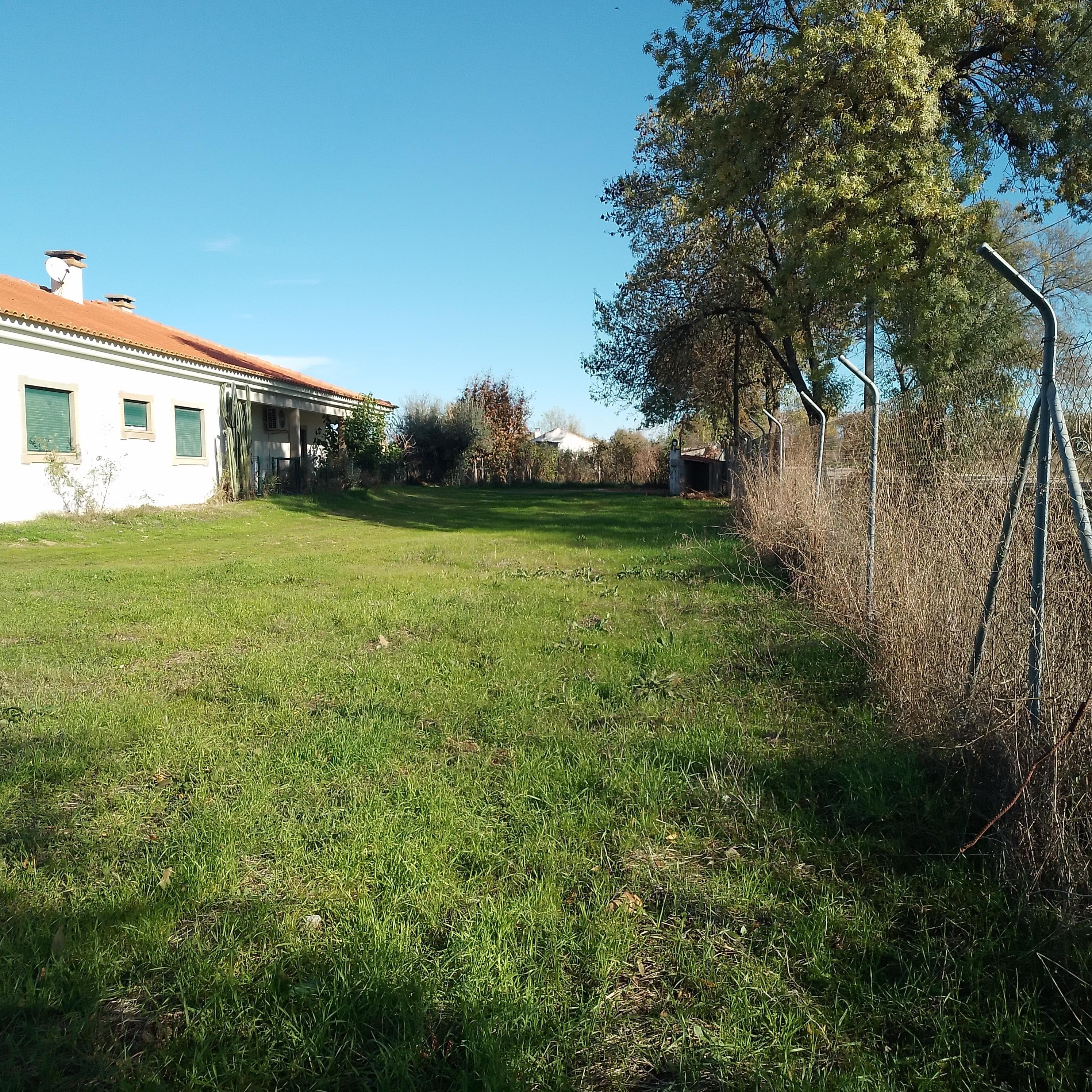 Moradia + Terrenos · Ladoeiro, Idanha-a-Nova — image 6