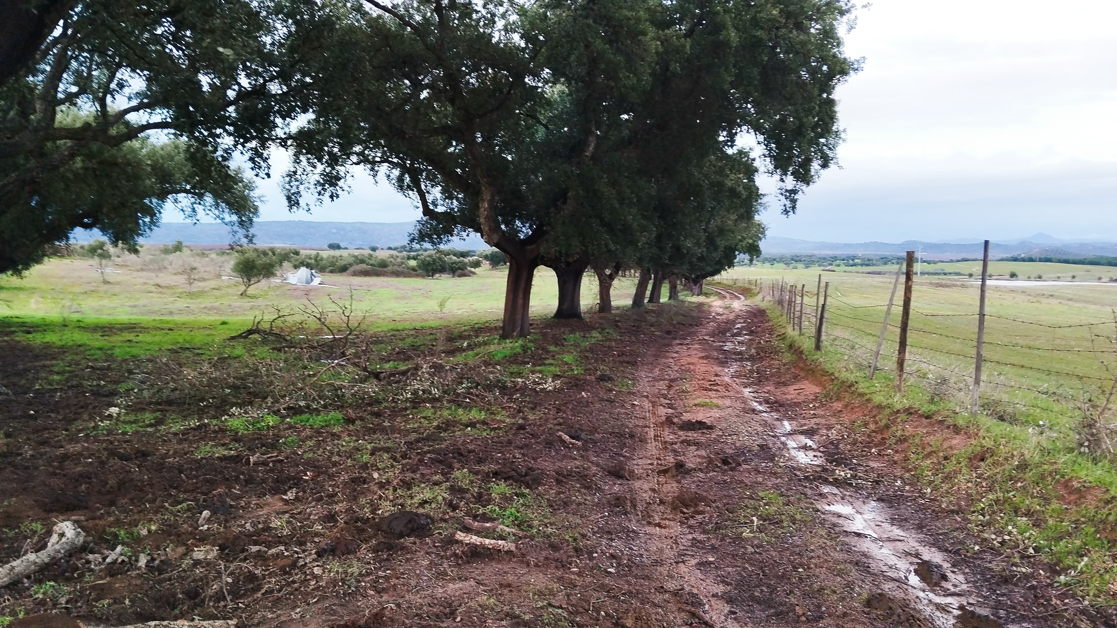 Terrenos com +35 hectares · Ladoeiro, Idanha-a-Nova — imagem 7