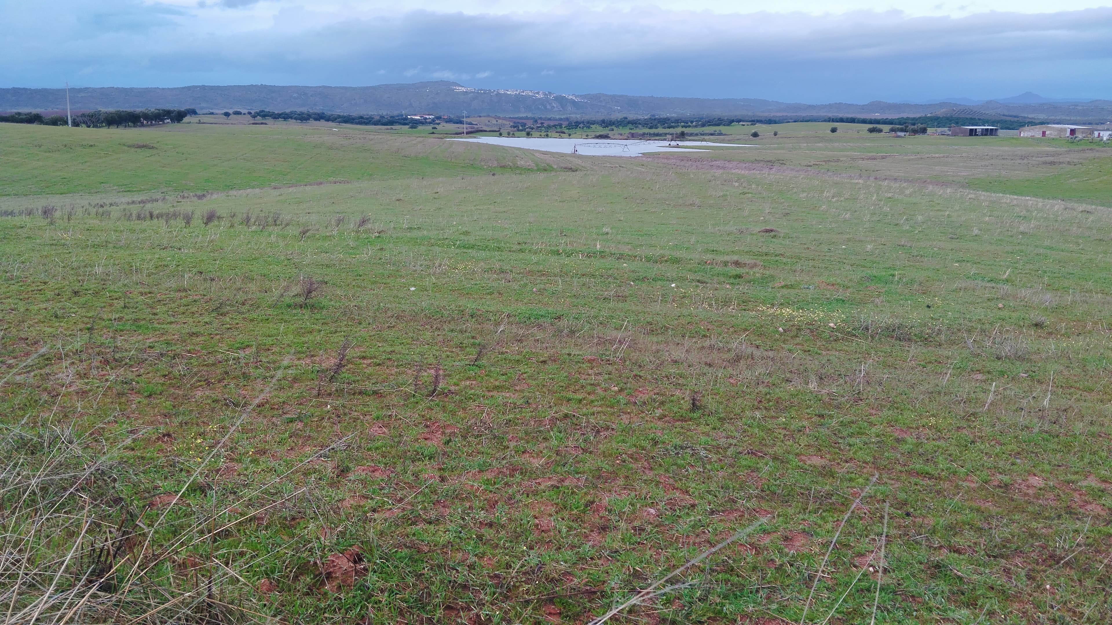 Terrenos com +35 hectares · Ladoeiro, Idanha-a-Nova — imagem 9