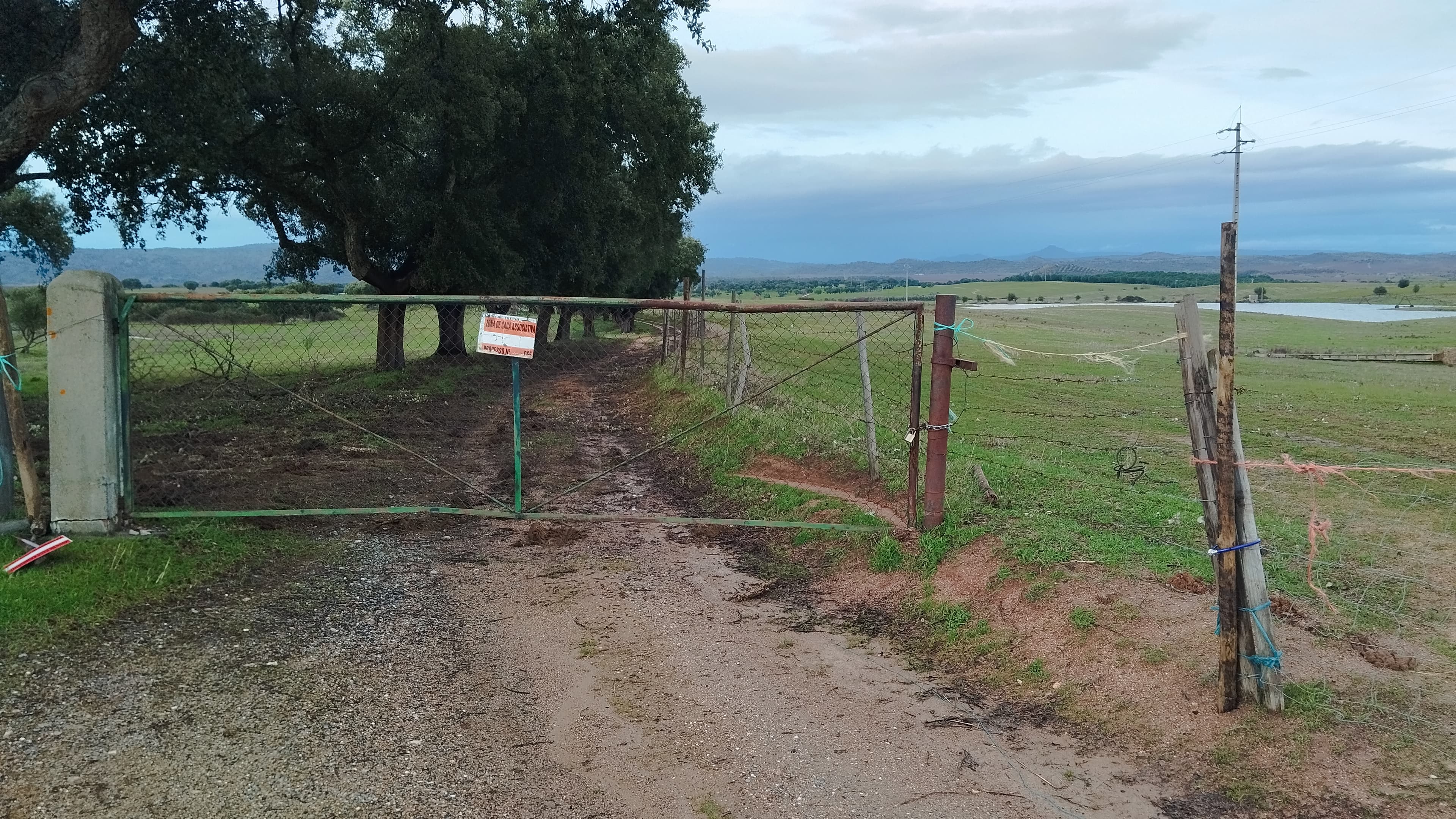 Terrenos com +35 hectares · Ladoeiro, Idanha-a-Nova — imagem 4