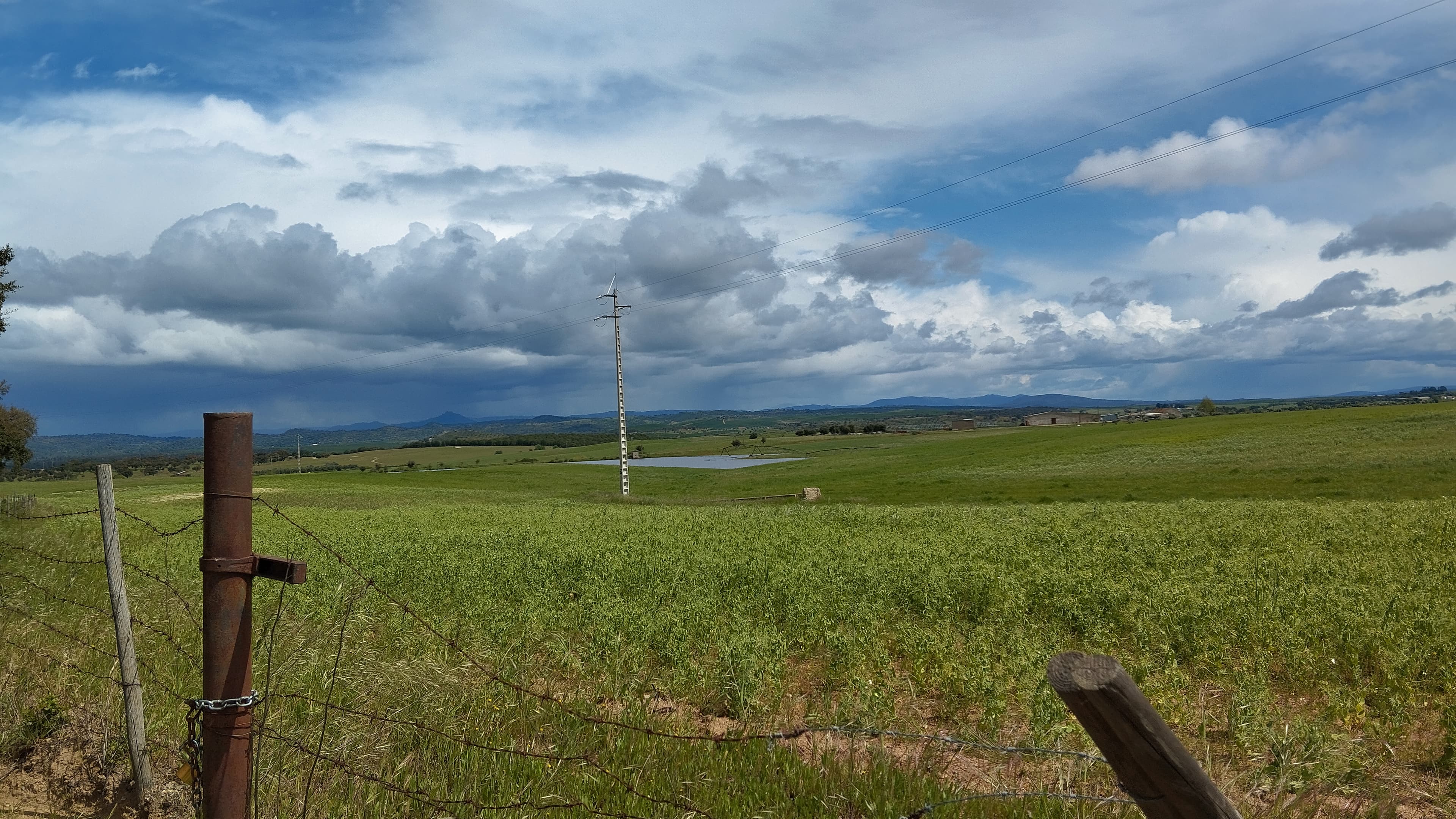 Terrenos com +35 hectares · Ladoeiro, Idanha-a-Nova — imagem 6