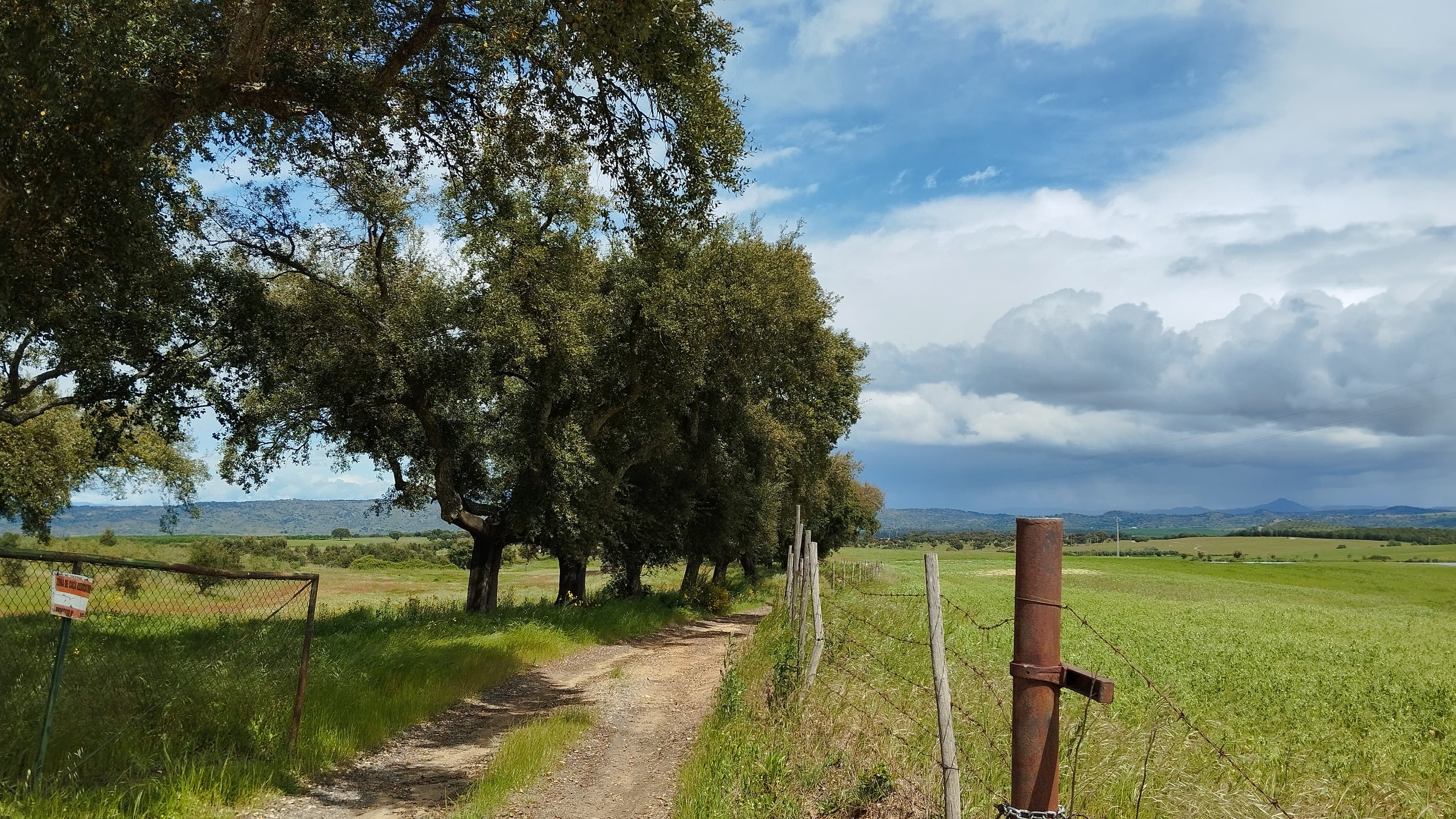 Terrenos com +35 hectares · Ladoeiro, Idanha-a-Nova — imagem 5