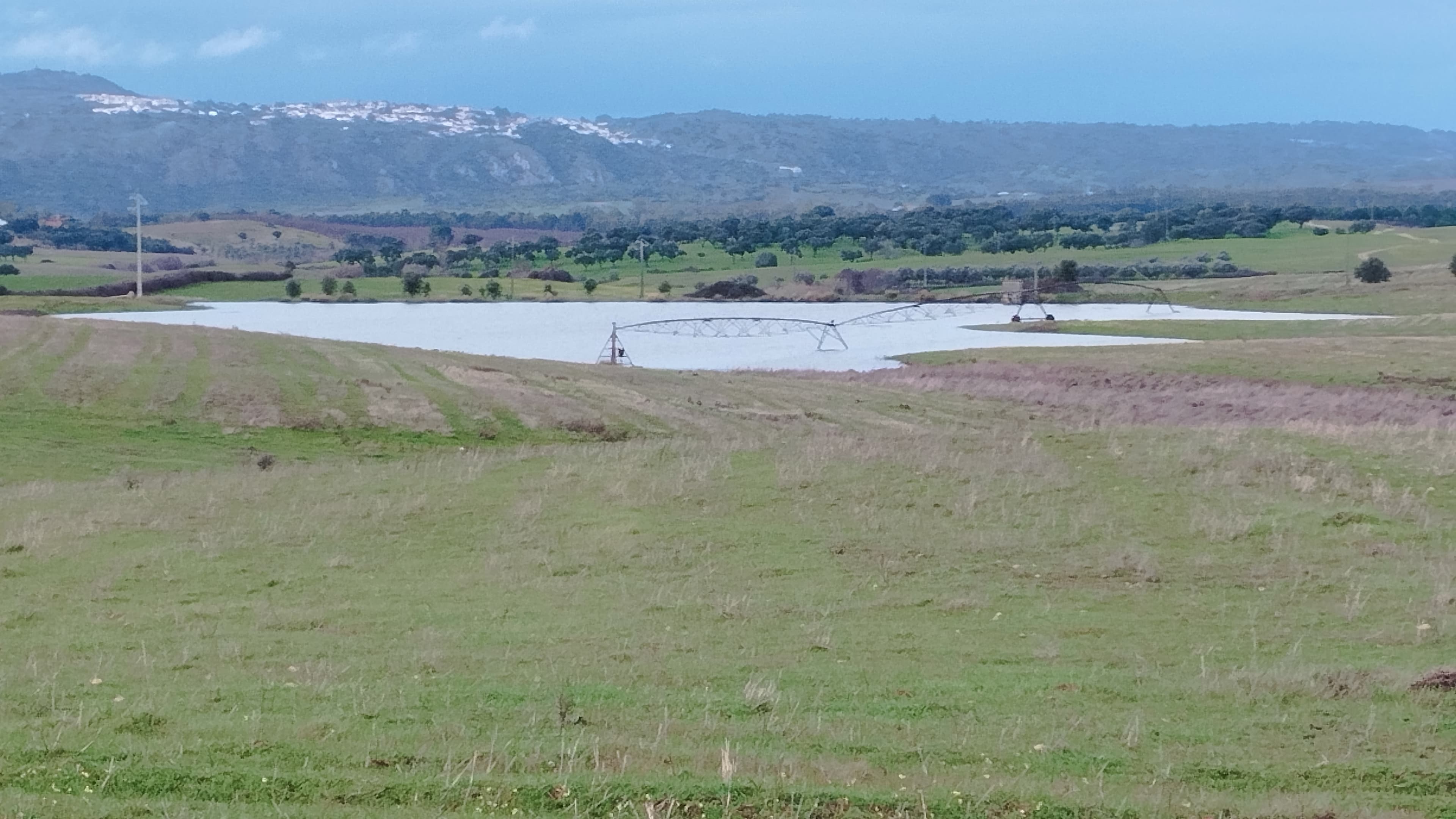 Terrenos com +35 hectares · Ladoeiro, Idanha-a-Nova — imagem 10