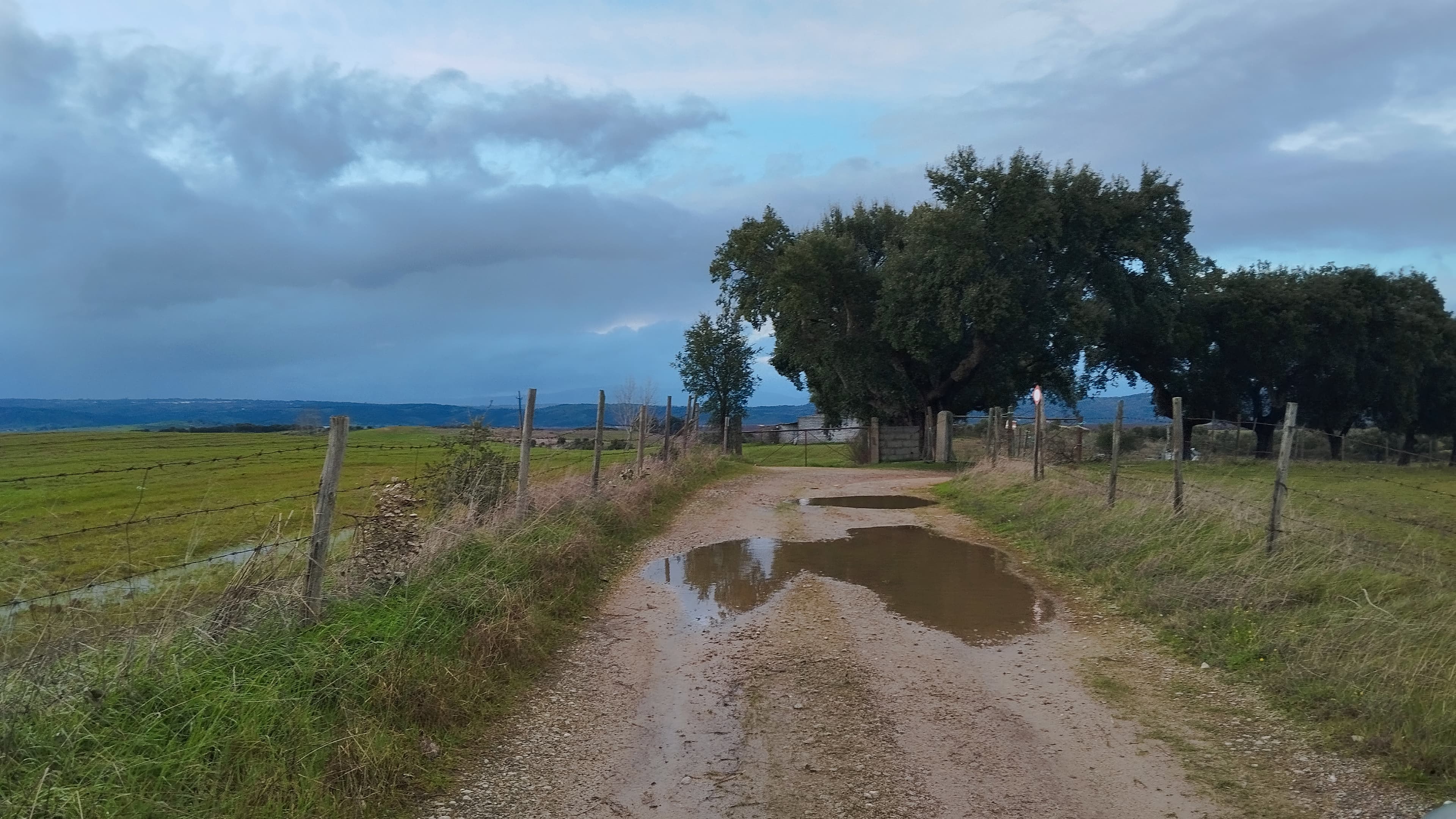 Terrenos com +35 hectares · Ladoeiro, Idanha-a-Nova — imagem 8