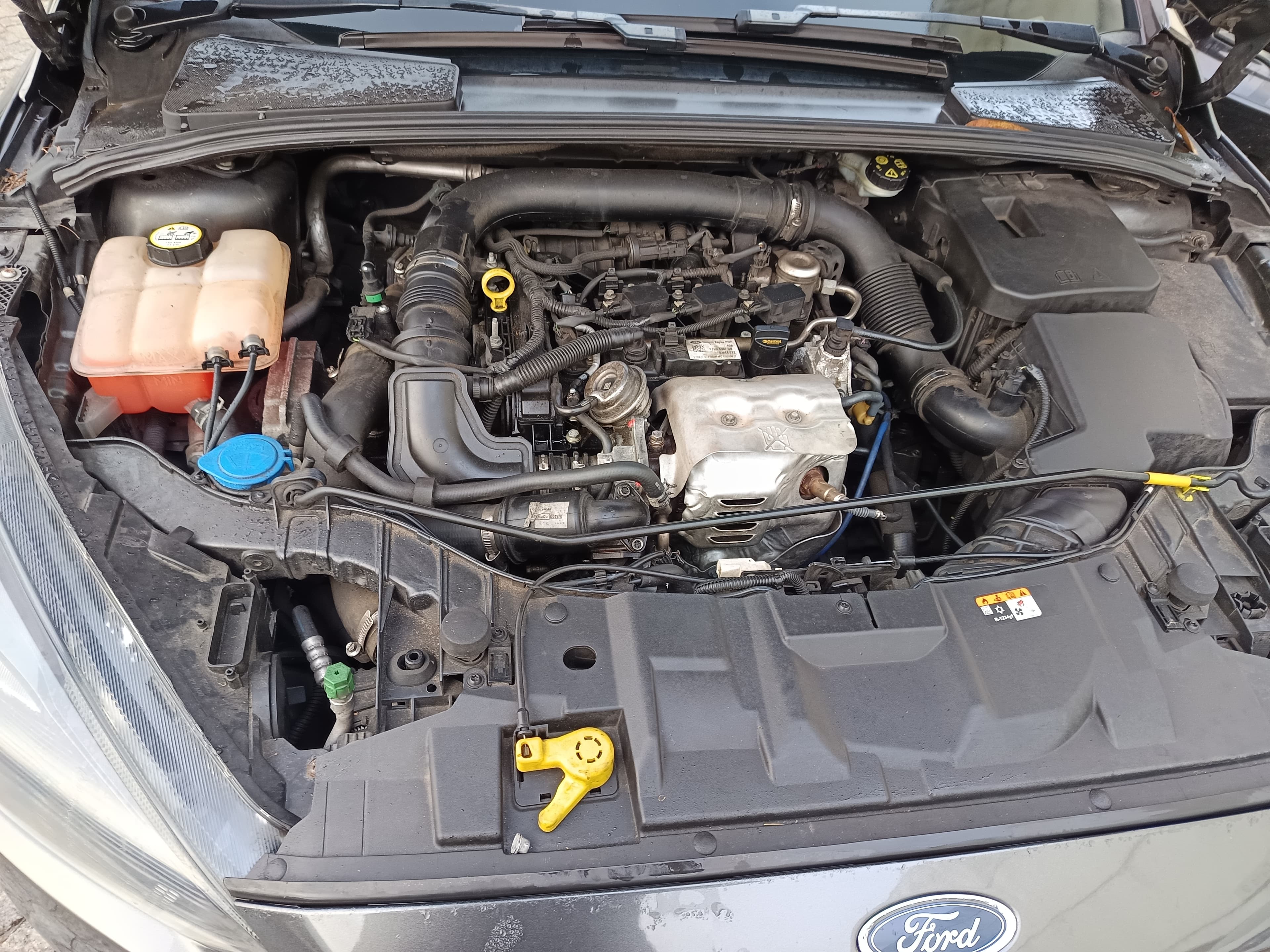 Ford Focus · Ano 2017 — imagem 15