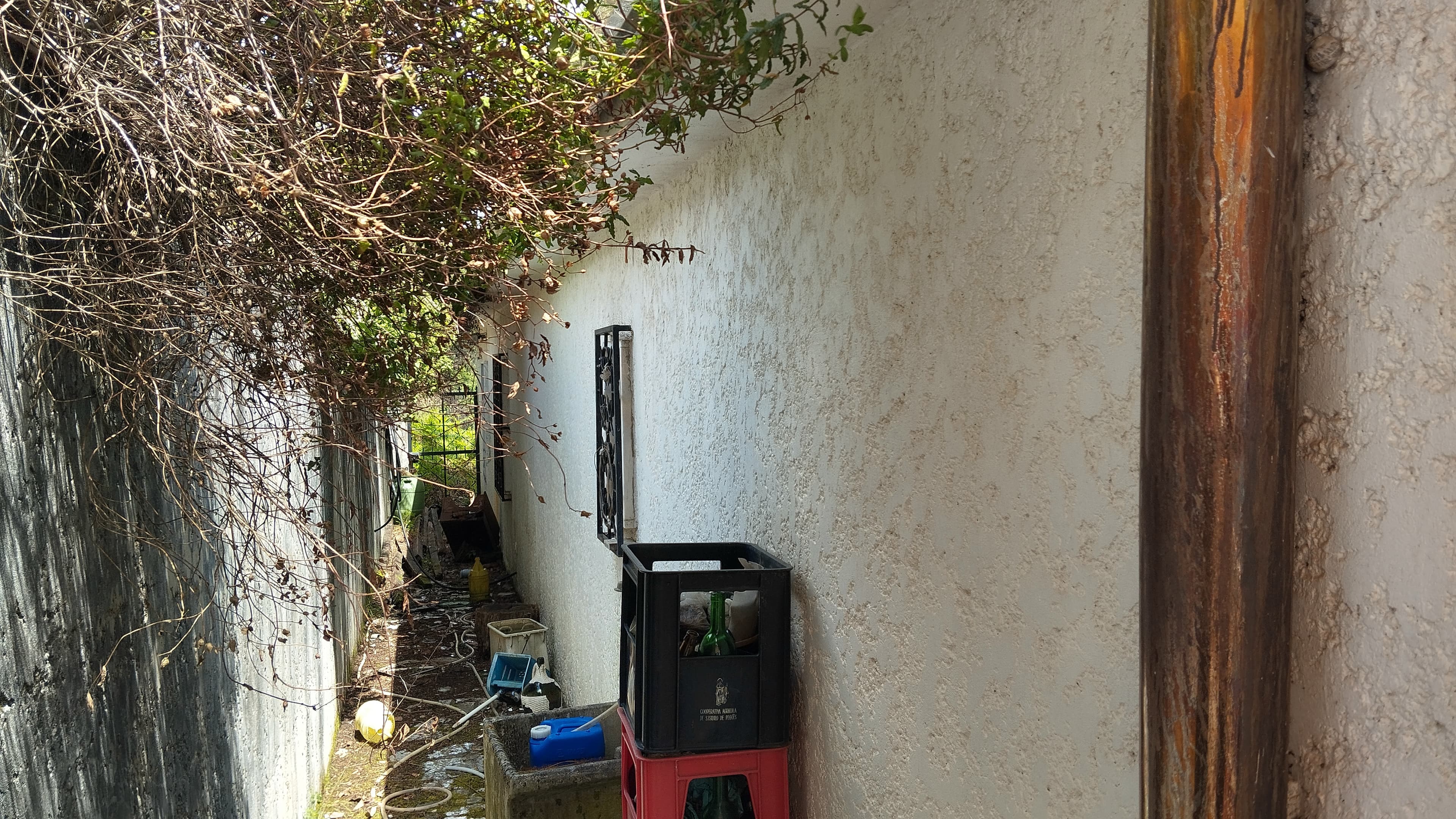 Quinhão Hereditário · Cabril, Castro Daire — imagem 8