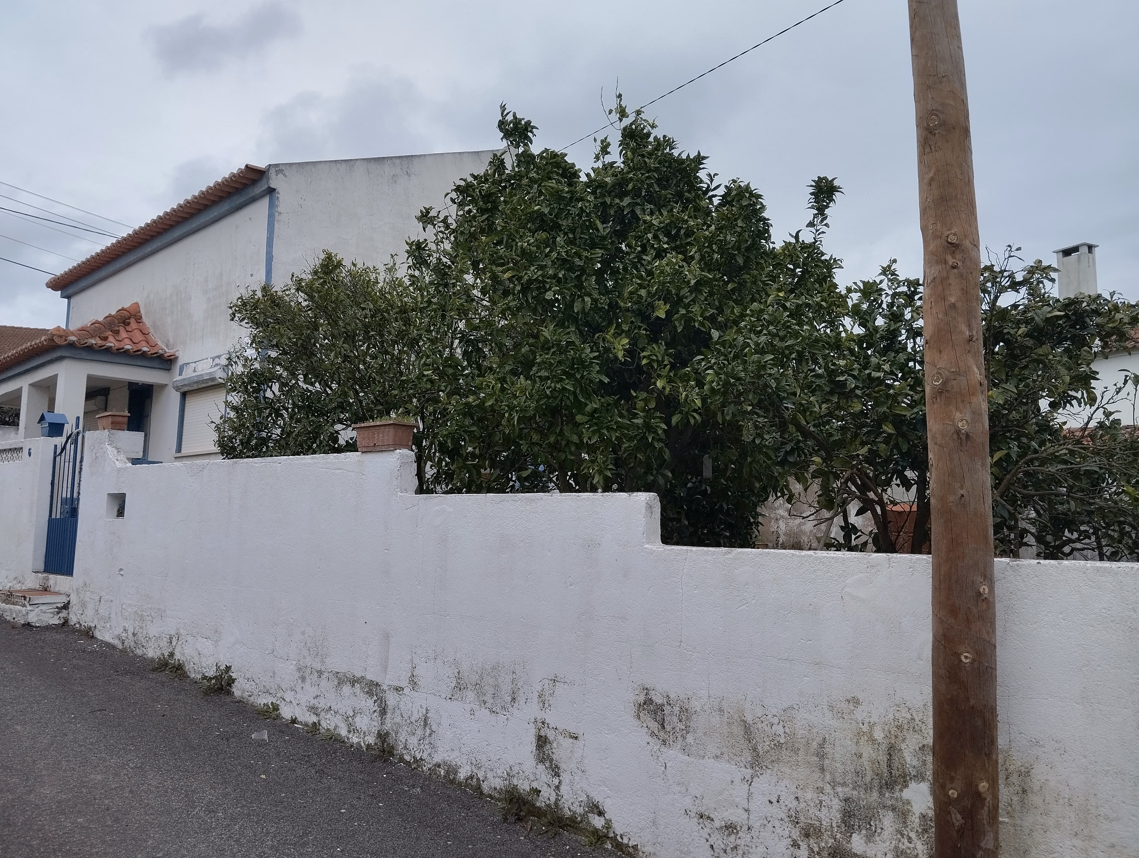 Proporção de 1/4 de Moradia · Vermelha, Cadaval — image 6