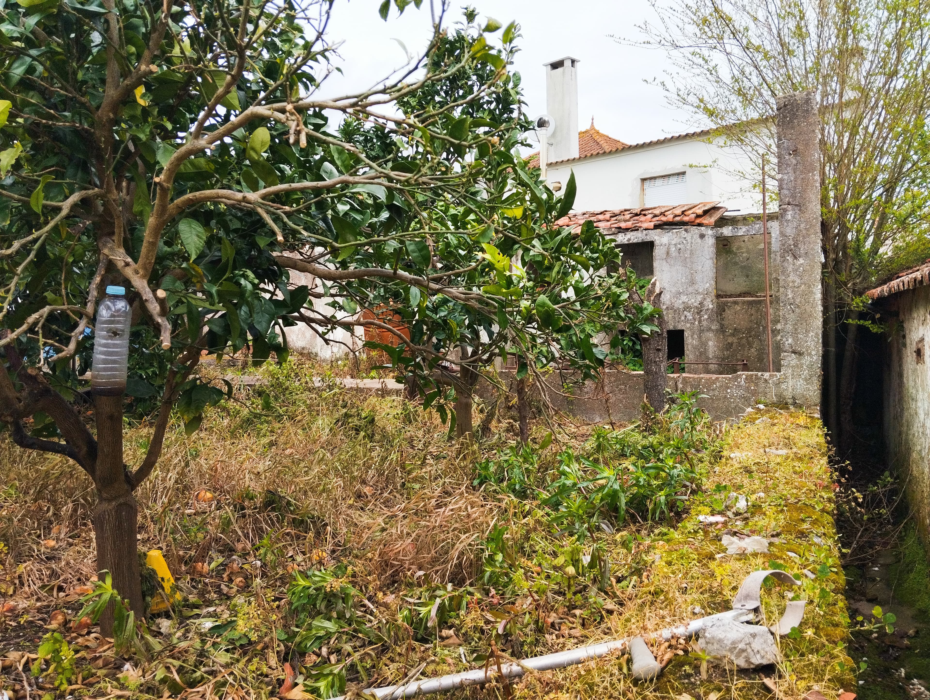 Proporção de 1/4 de Moradia · Vermelha, Cadaval — image 8
