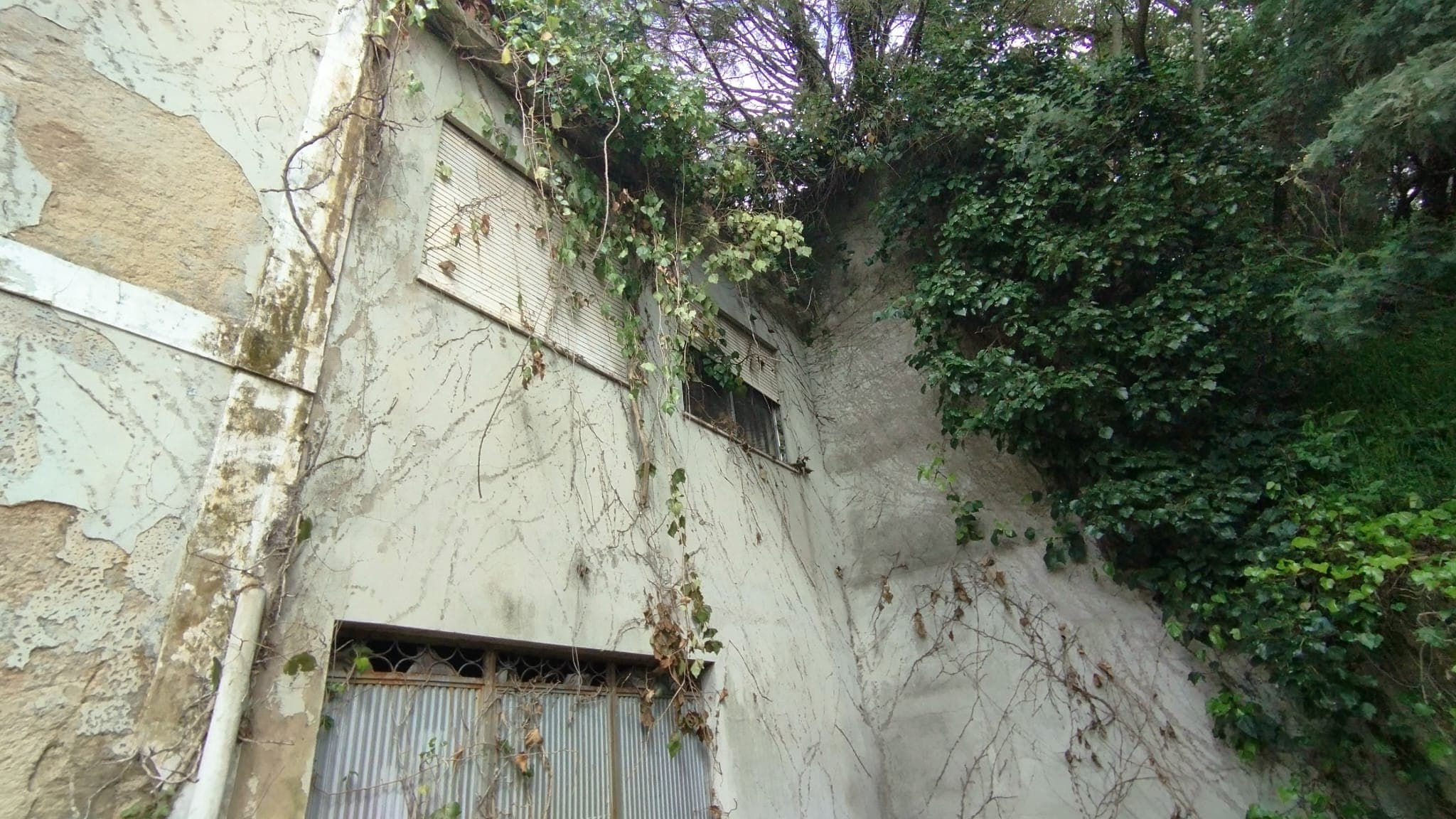 Vivienda · Vimieiro, Santa Comba Dão — imagen 9