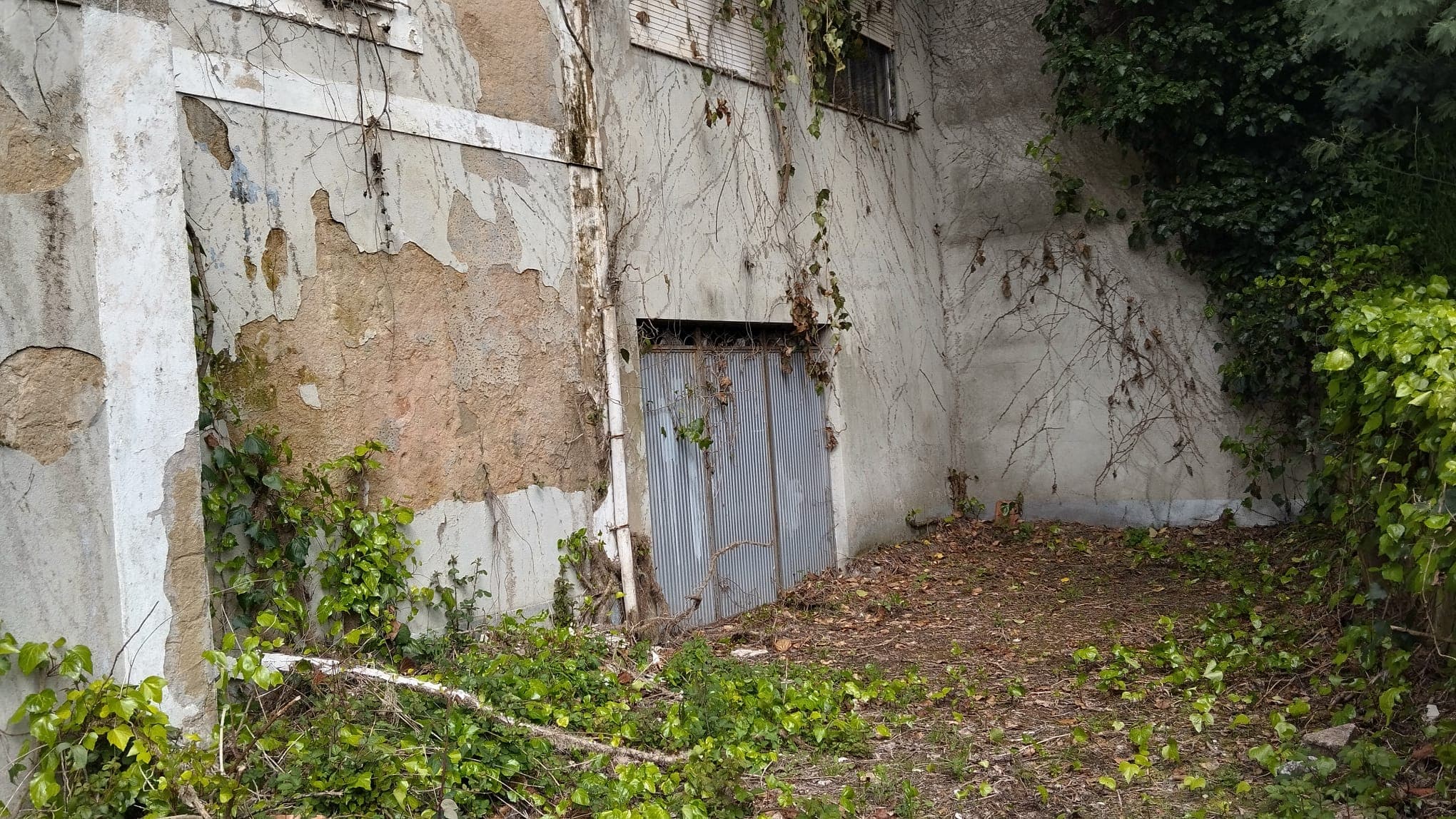 Vivienda · Vimieiro, Santa Comba Dão — imagen 10