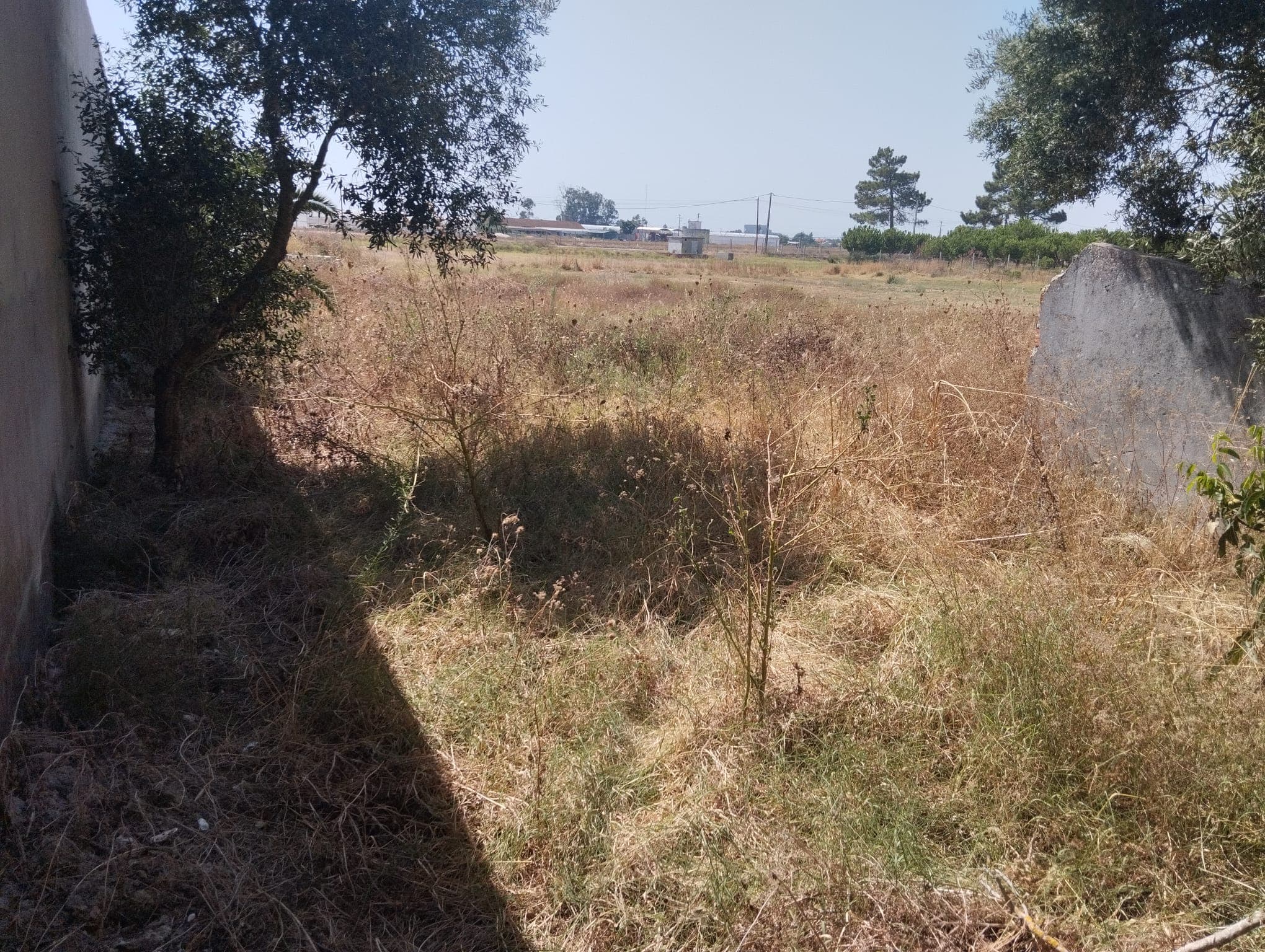 Proporção de 1/4 de Terreno Rústico · Montijo — image 5