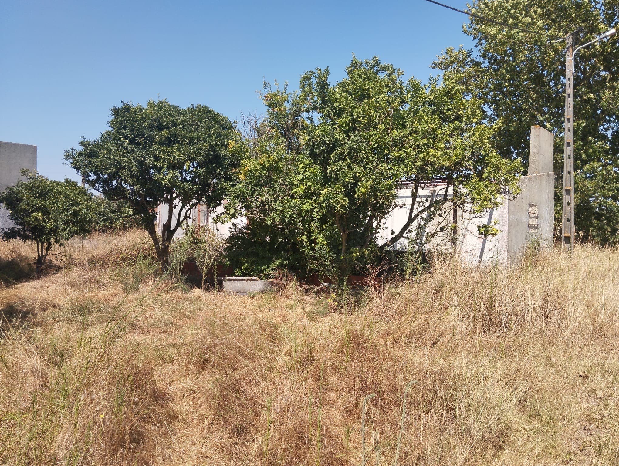 Proporção de 1/4 de Terreno Rústico · Montijo — image 4