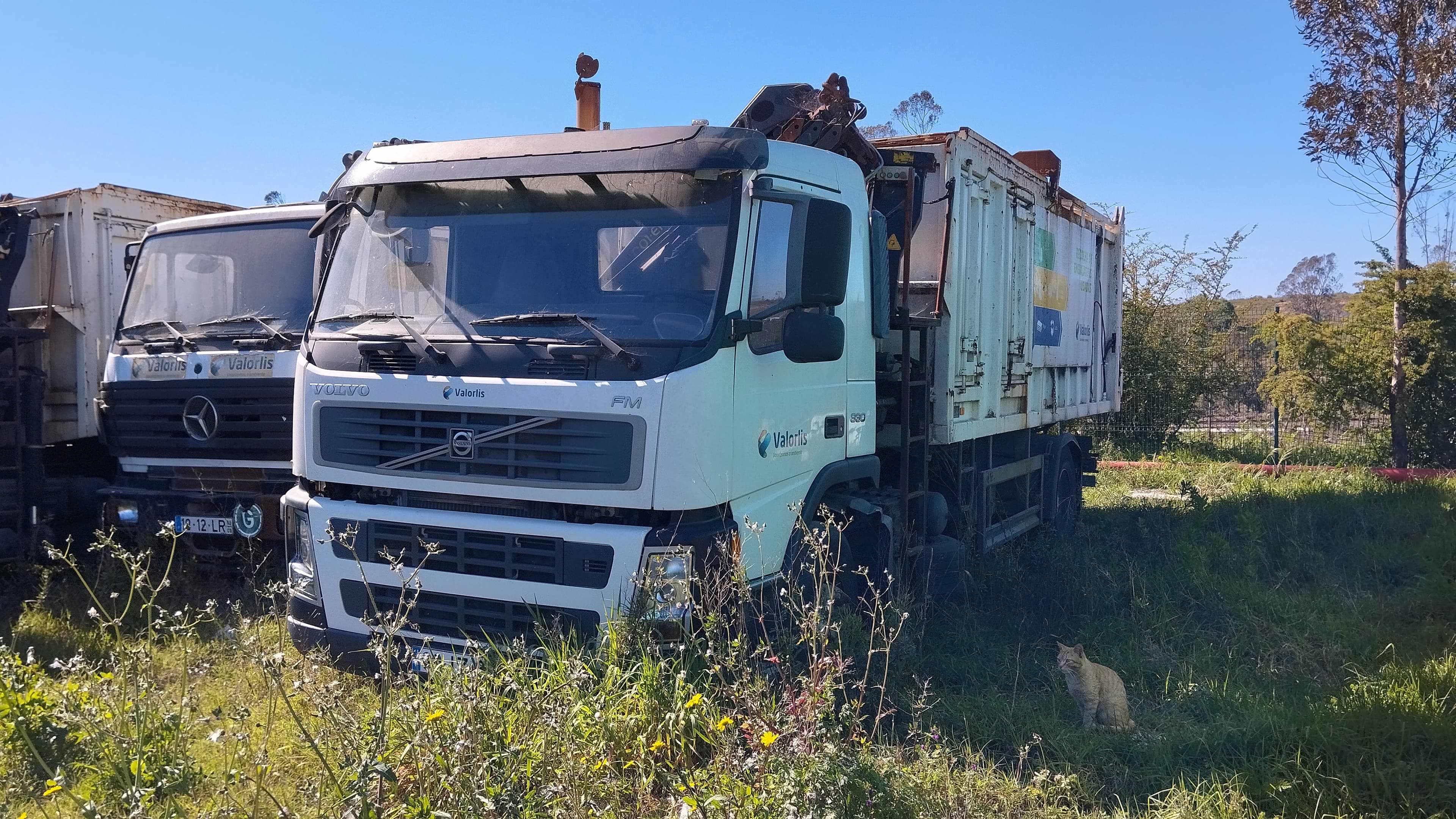 Volvo FM 11