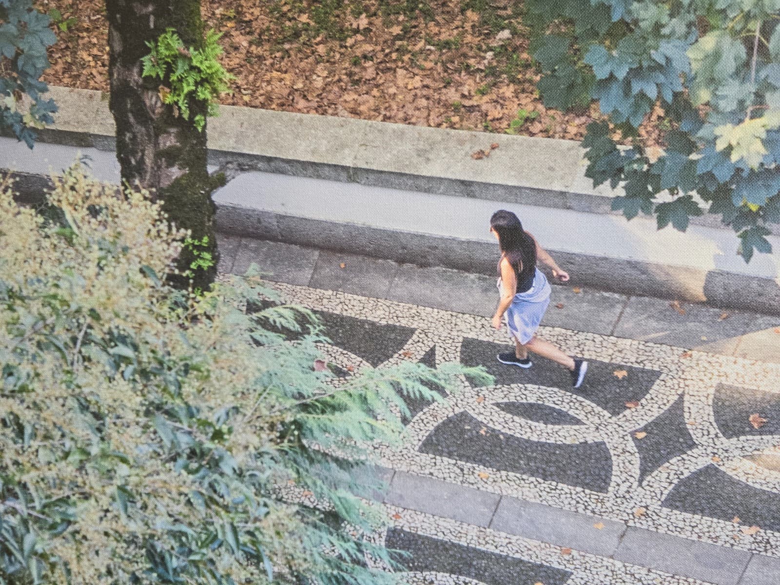 Tela de Motivo Natureza — imagem 4