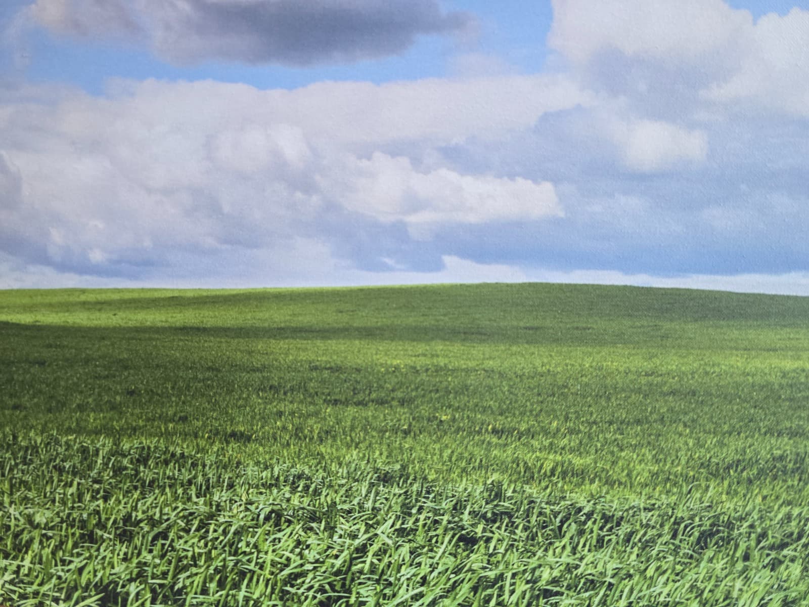 Écran Motif Nature — image 4
