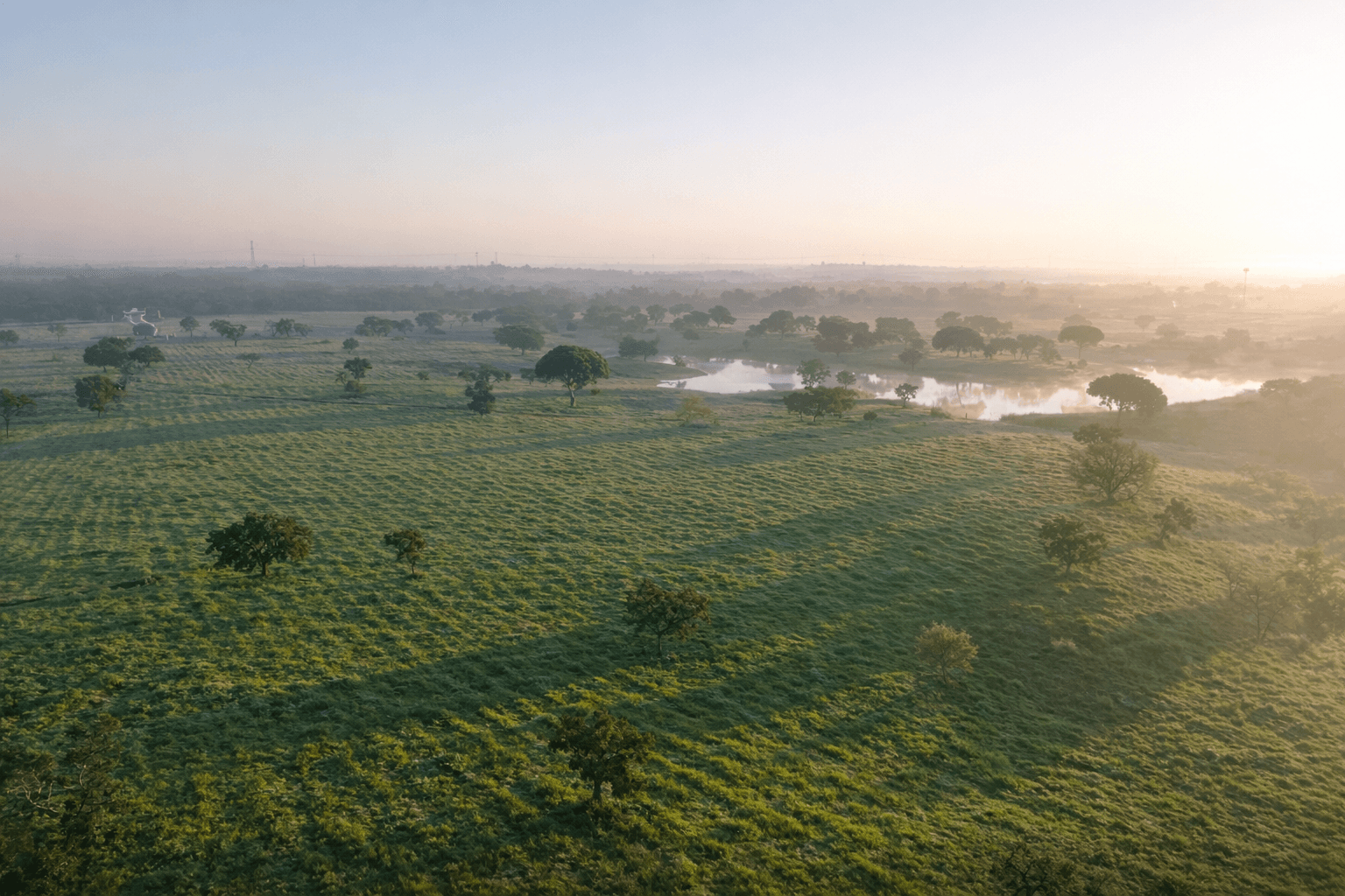 Herdade com + 47 hectares · Palmela — imagem 15