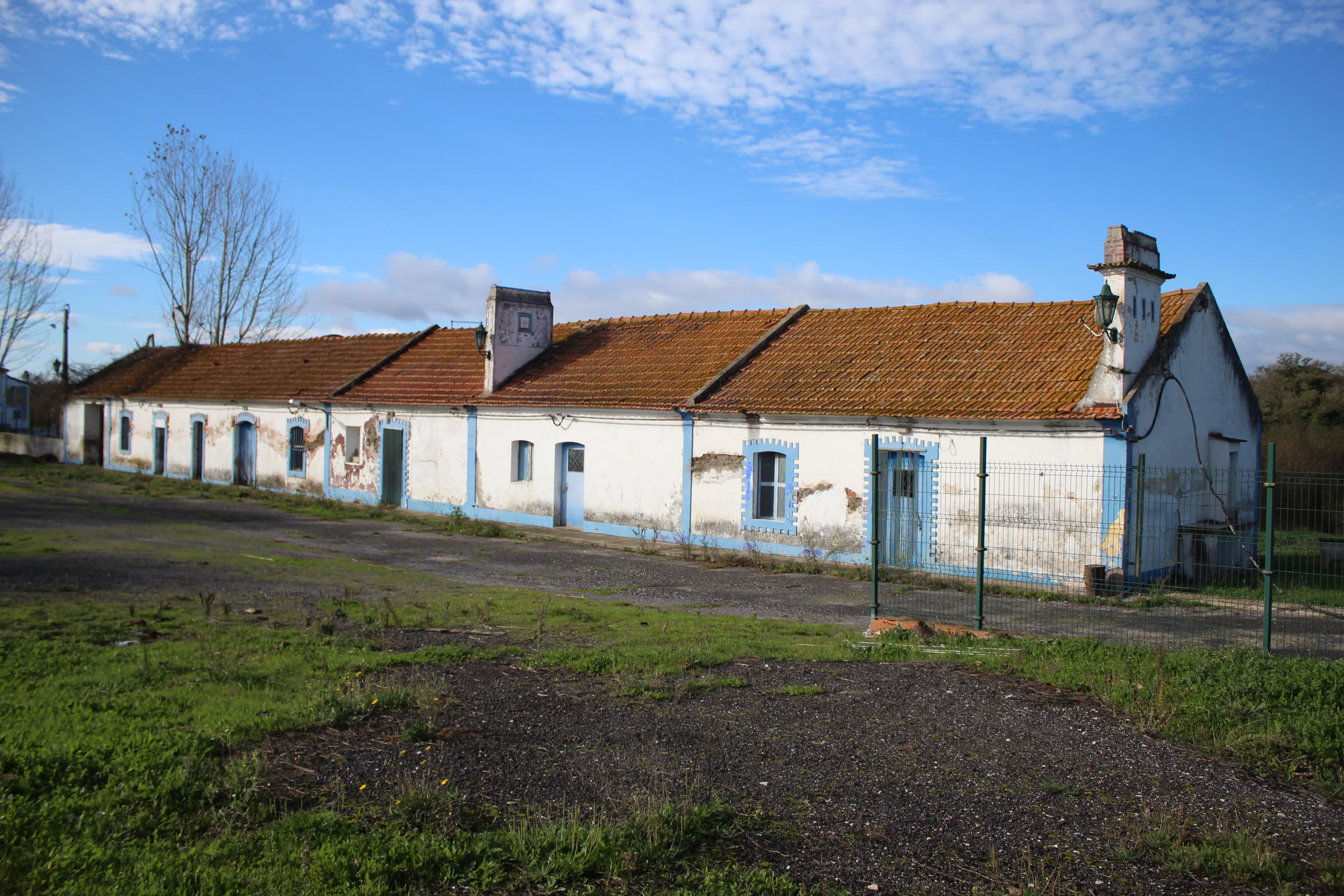 Herdade com + 47 hectares · Palmela — imagem 9