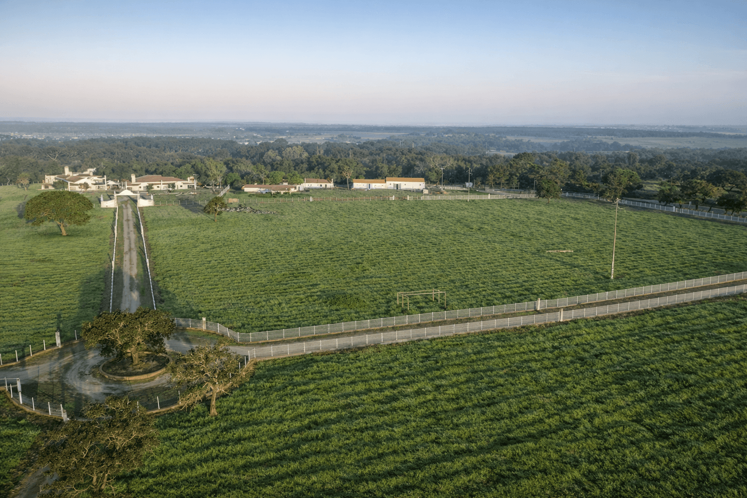 Herdade com + 47 hectares · Palmela — imagem 16