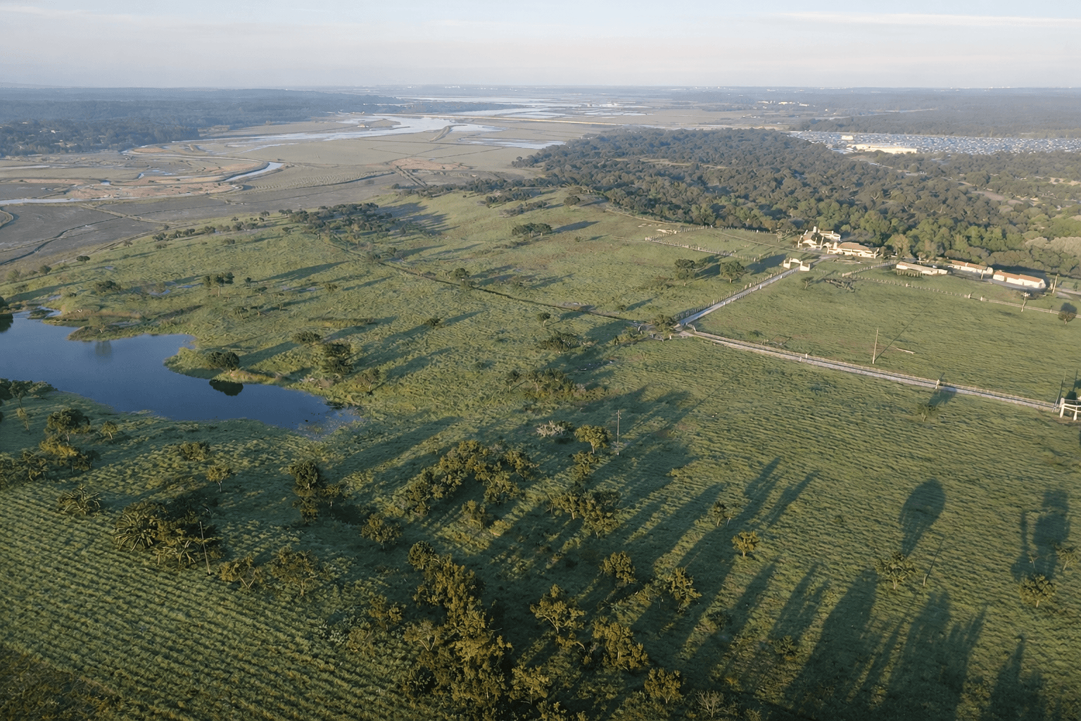 Herdade com + 47 hectares · Palmela — imagem 11