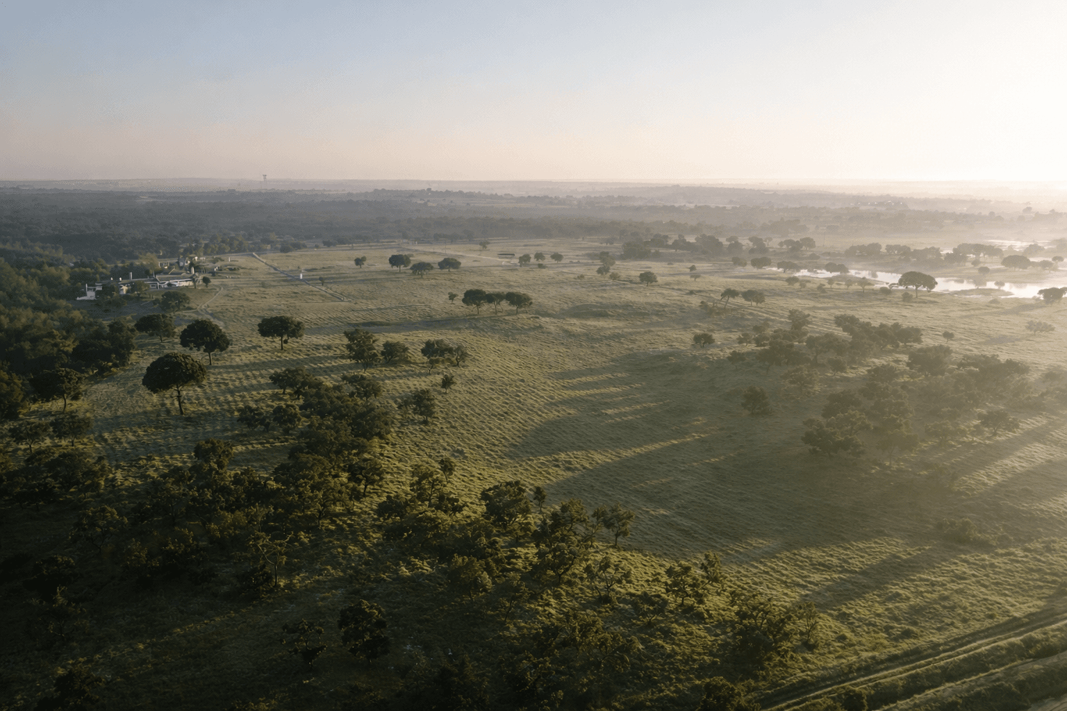 Herdade com + 47 hectares · Palmela — imagem 12