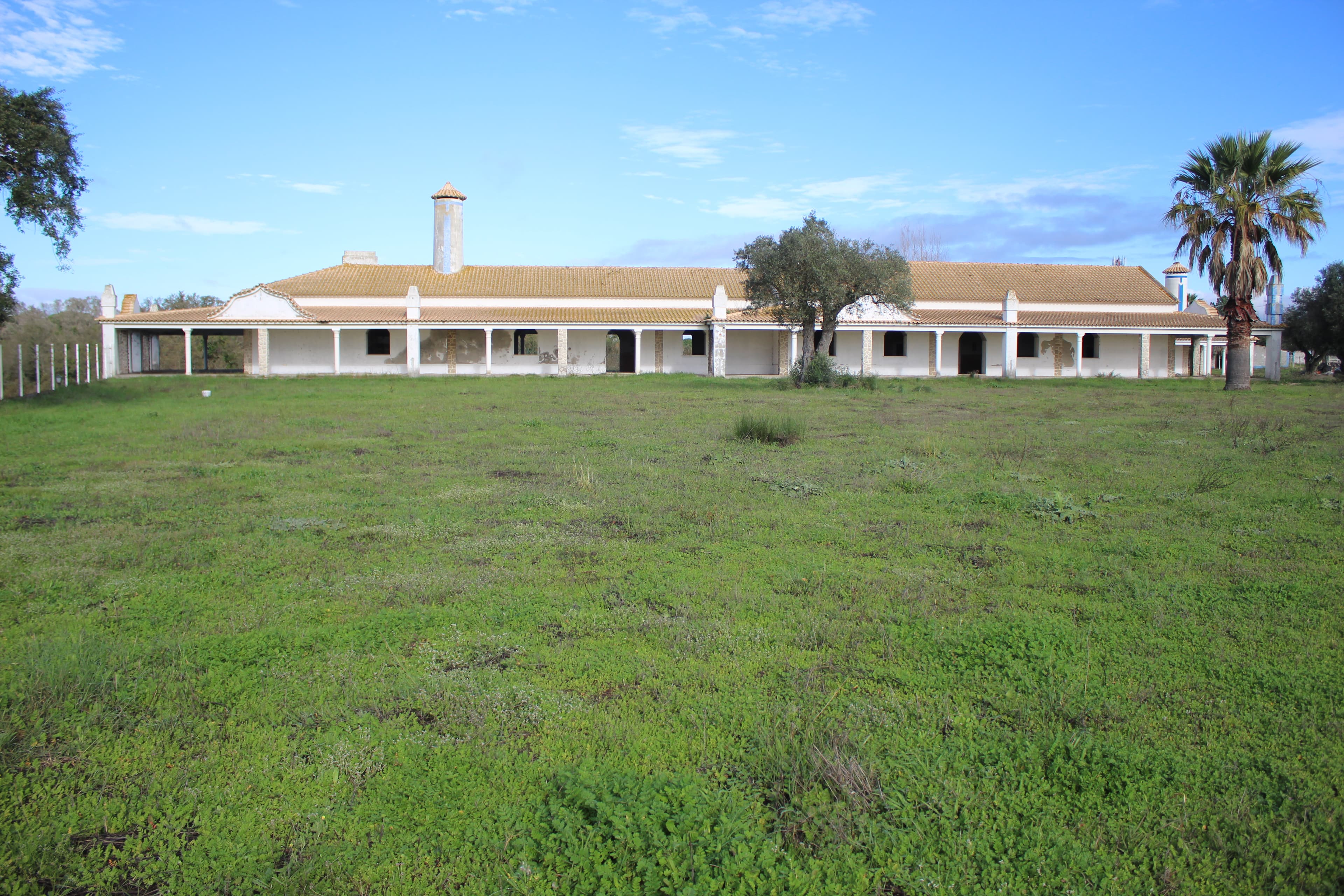 Herdade com + 47 hectares · Palmela — imagem 4
