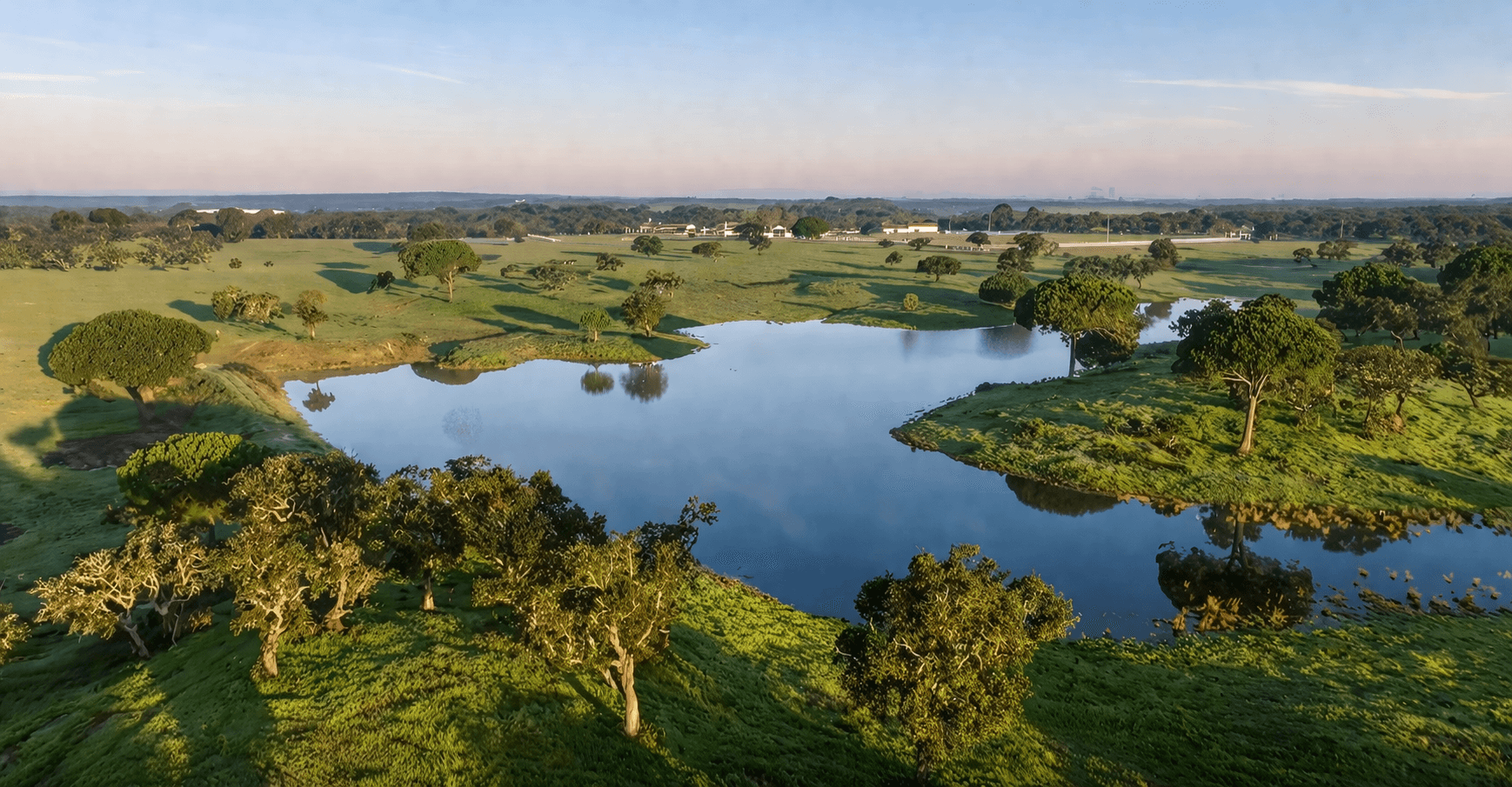 Herdade com + 47 hectares · Palmela — imagem 10