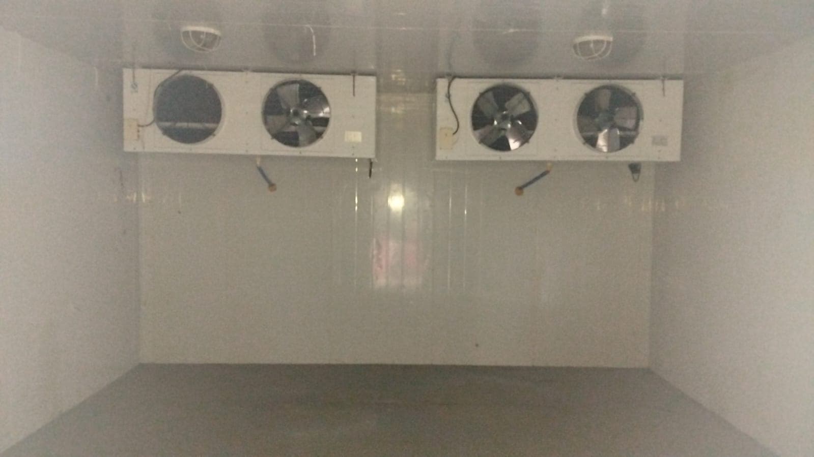 Contentor modular frigorifico — imagem 2