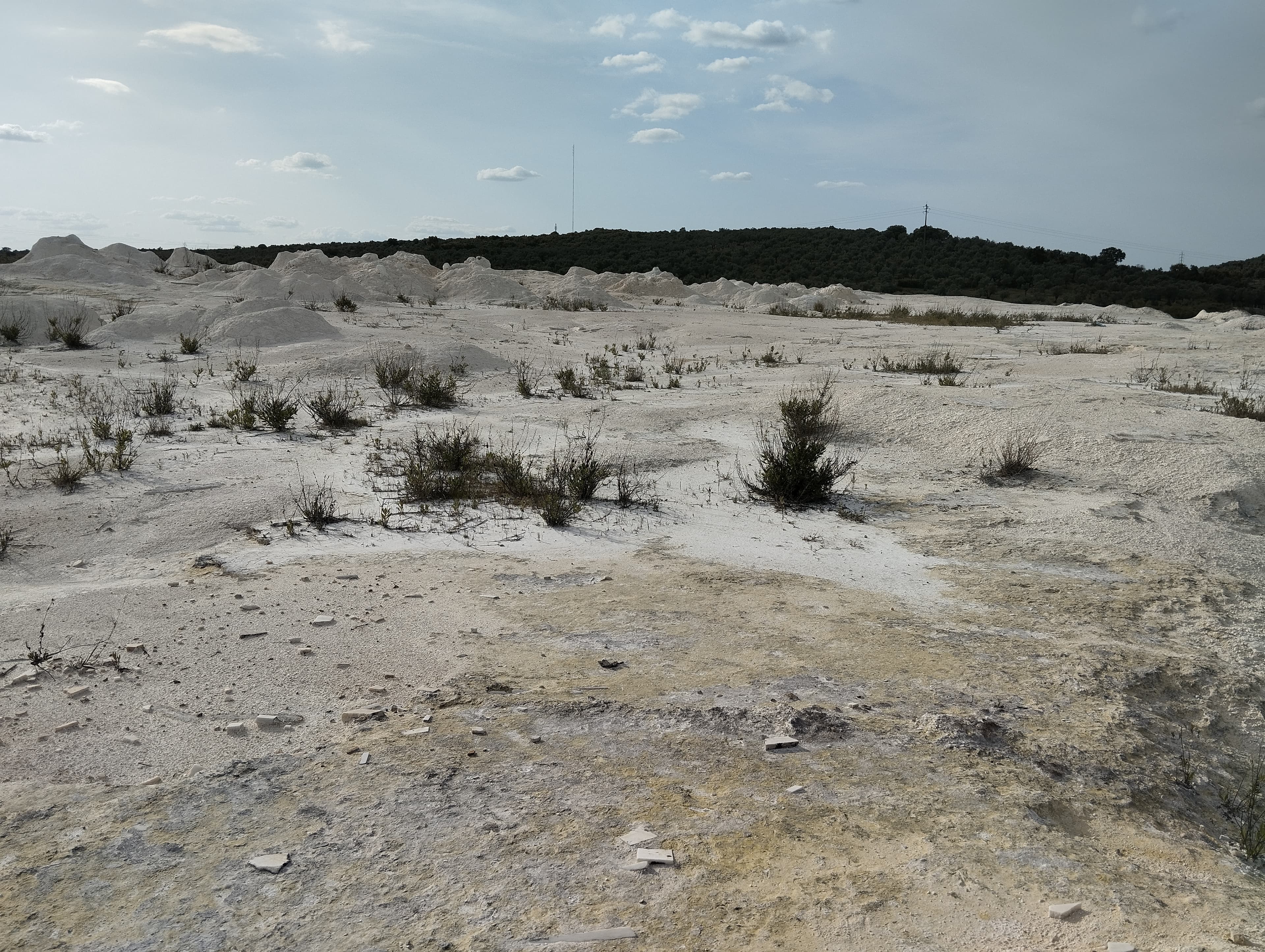 Terrenos Rústicos · Vila Viçosa, Évora — imagem 9