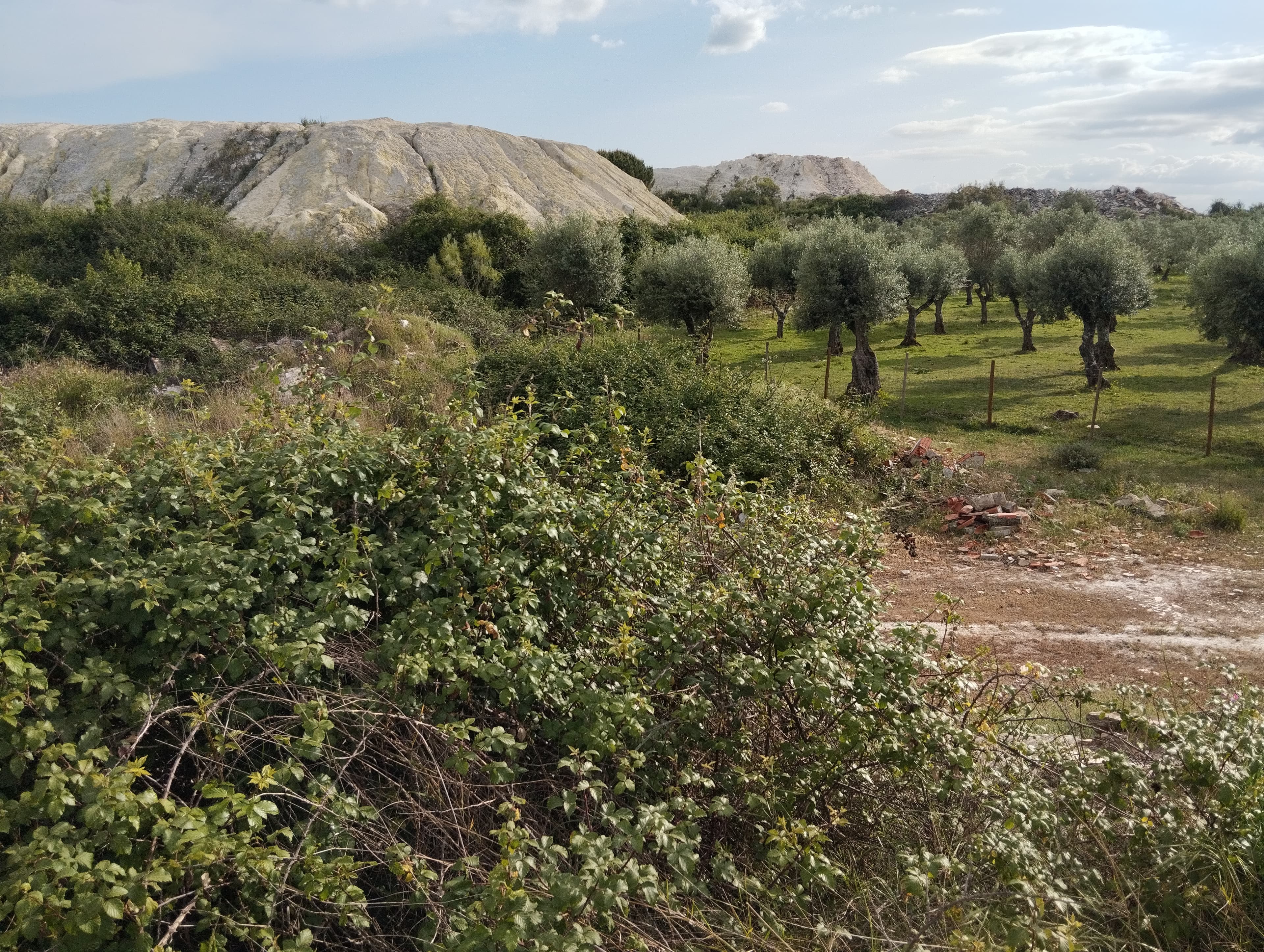 Terrenos Rústicos · Vila Viçosa, Évora — imagem 6