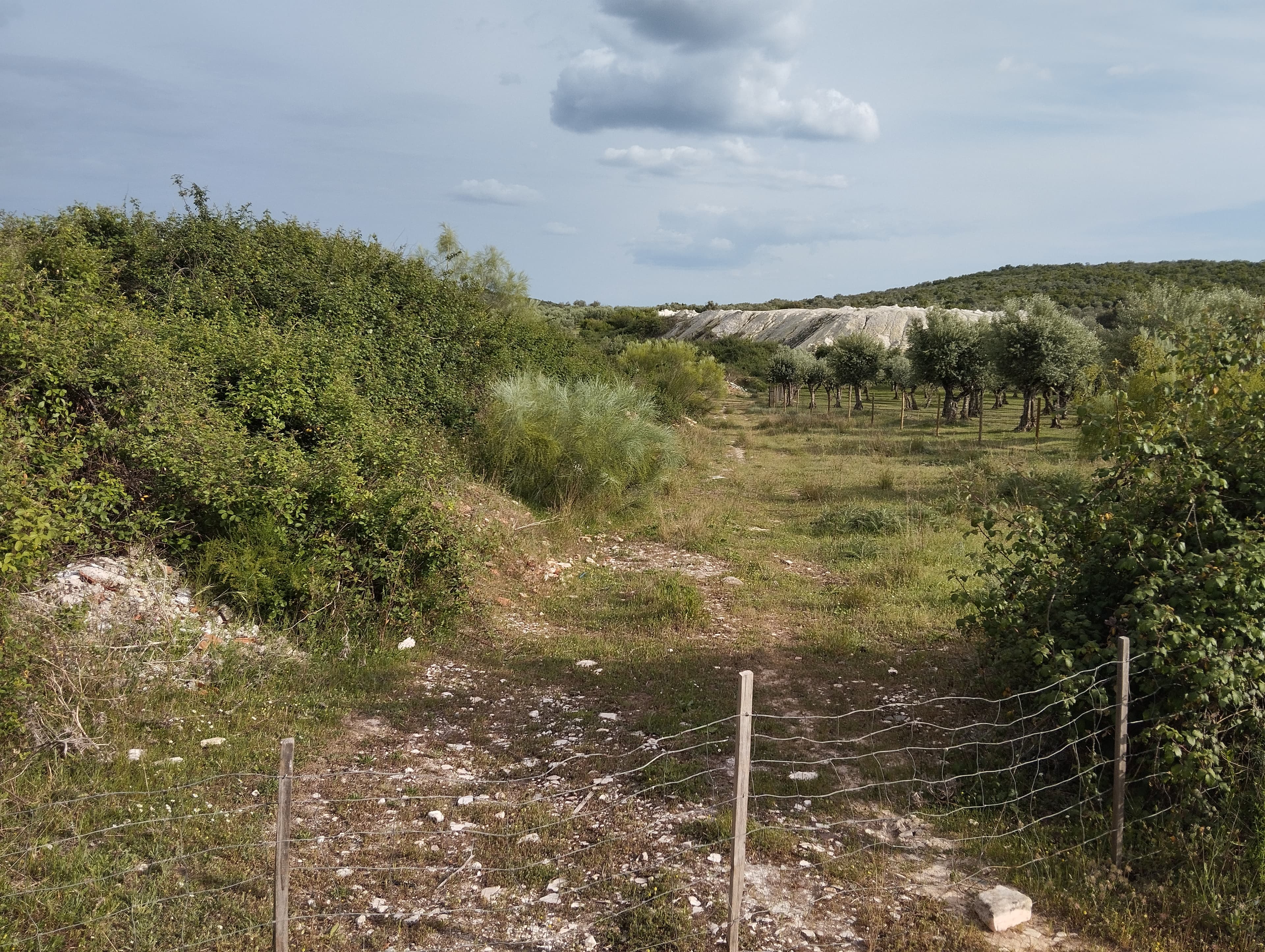 Terrenos Rústicos · Vila Viçosa, Évora — imagem 2
