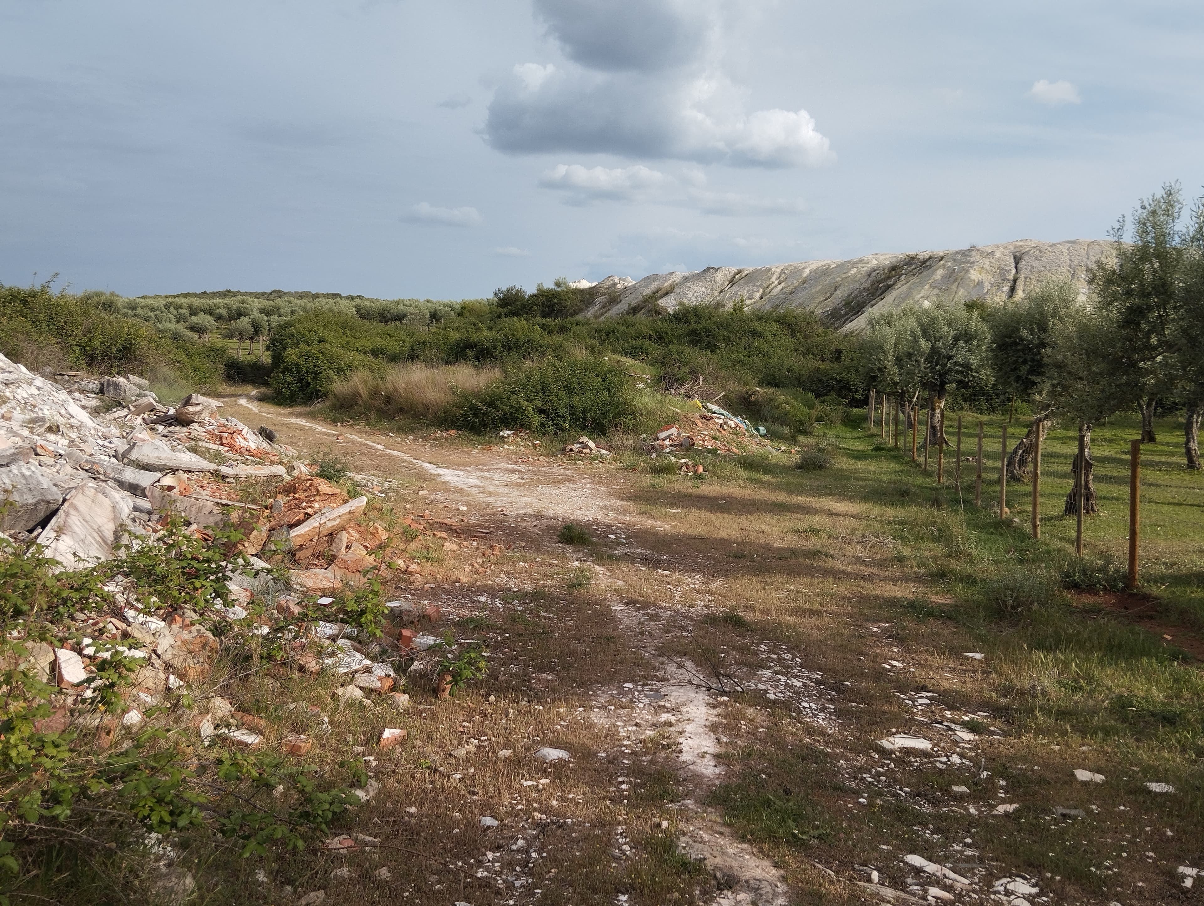 Terrenos Rústicos · Vila Viçosa, Évora — imagem 3