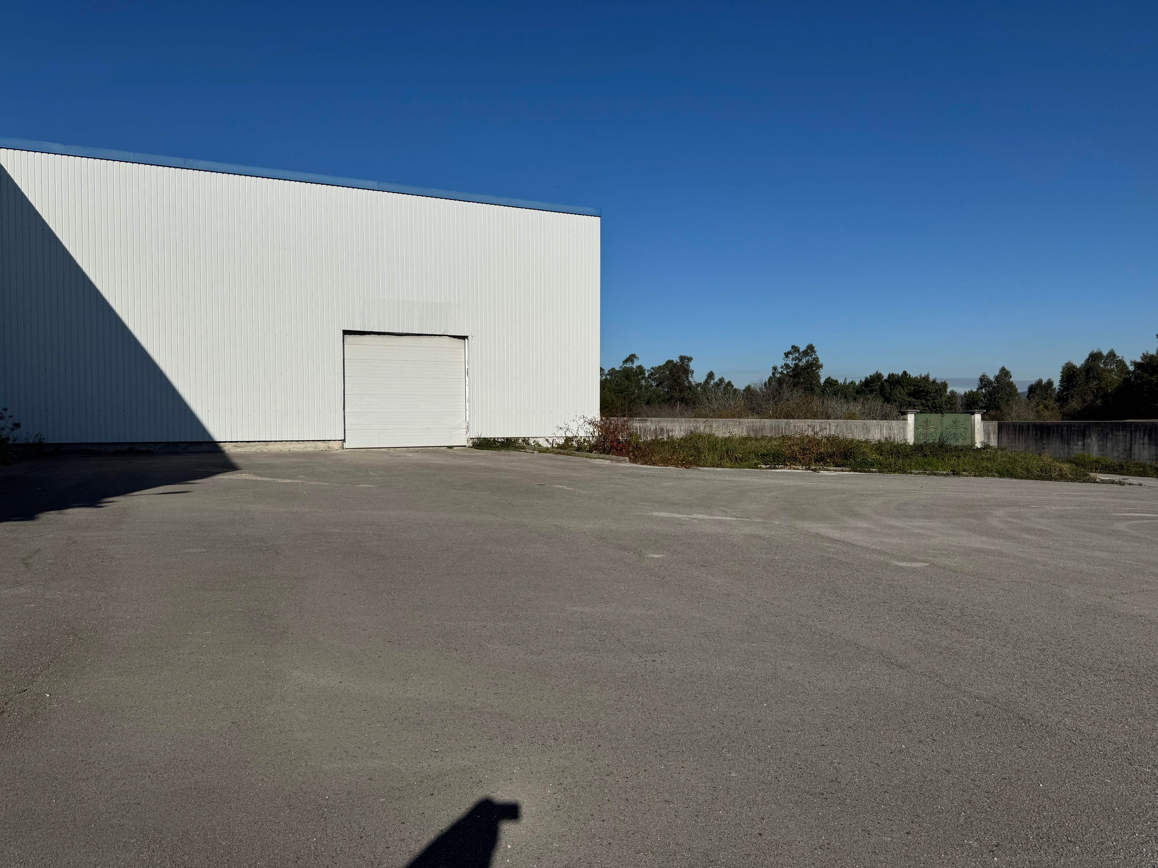 Armazém e Terrenos · Valongo do Vouga, Águeda — imagem 4