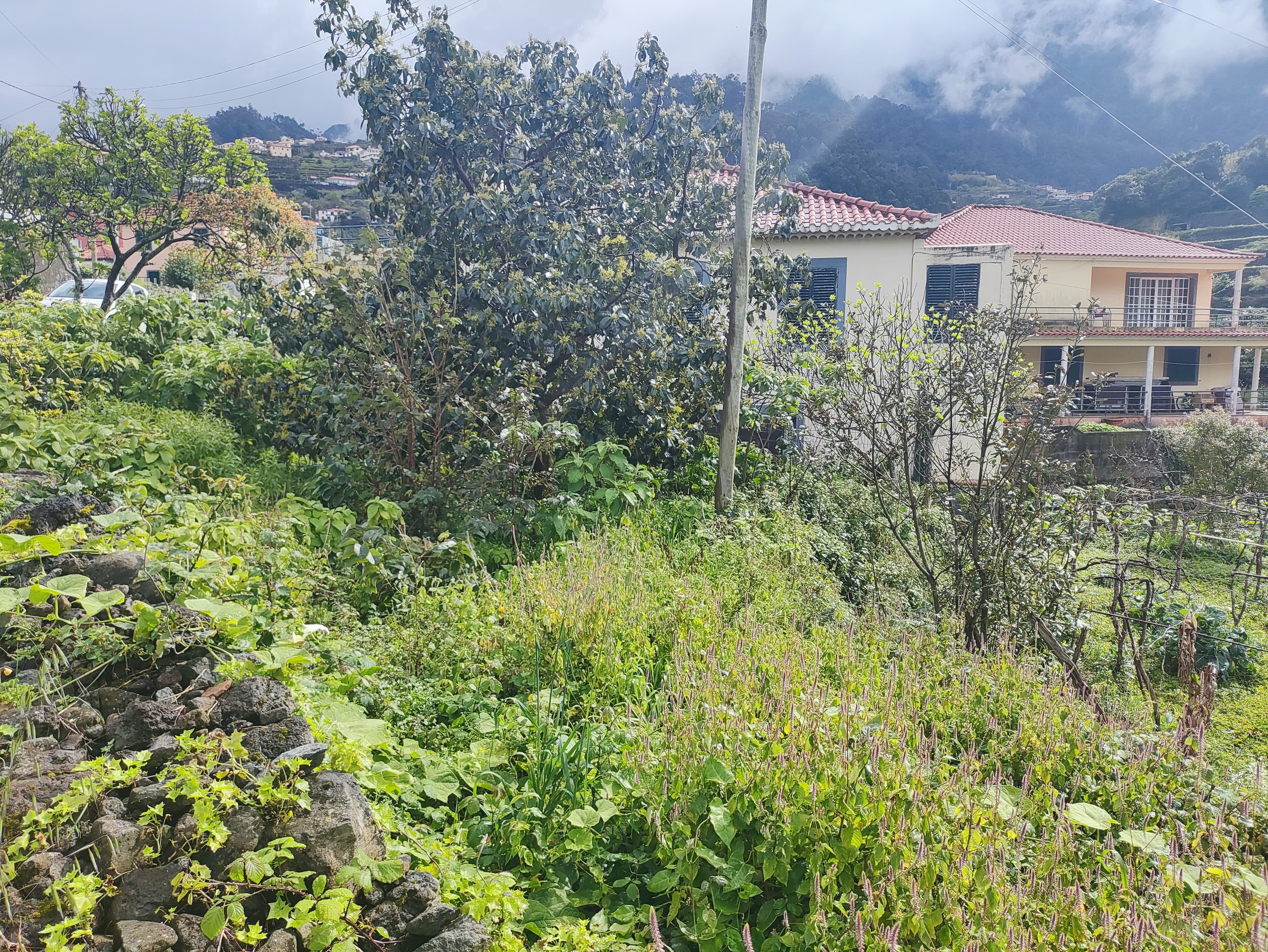Quinhão Hereditário · São Vicente, Madeira — image 5