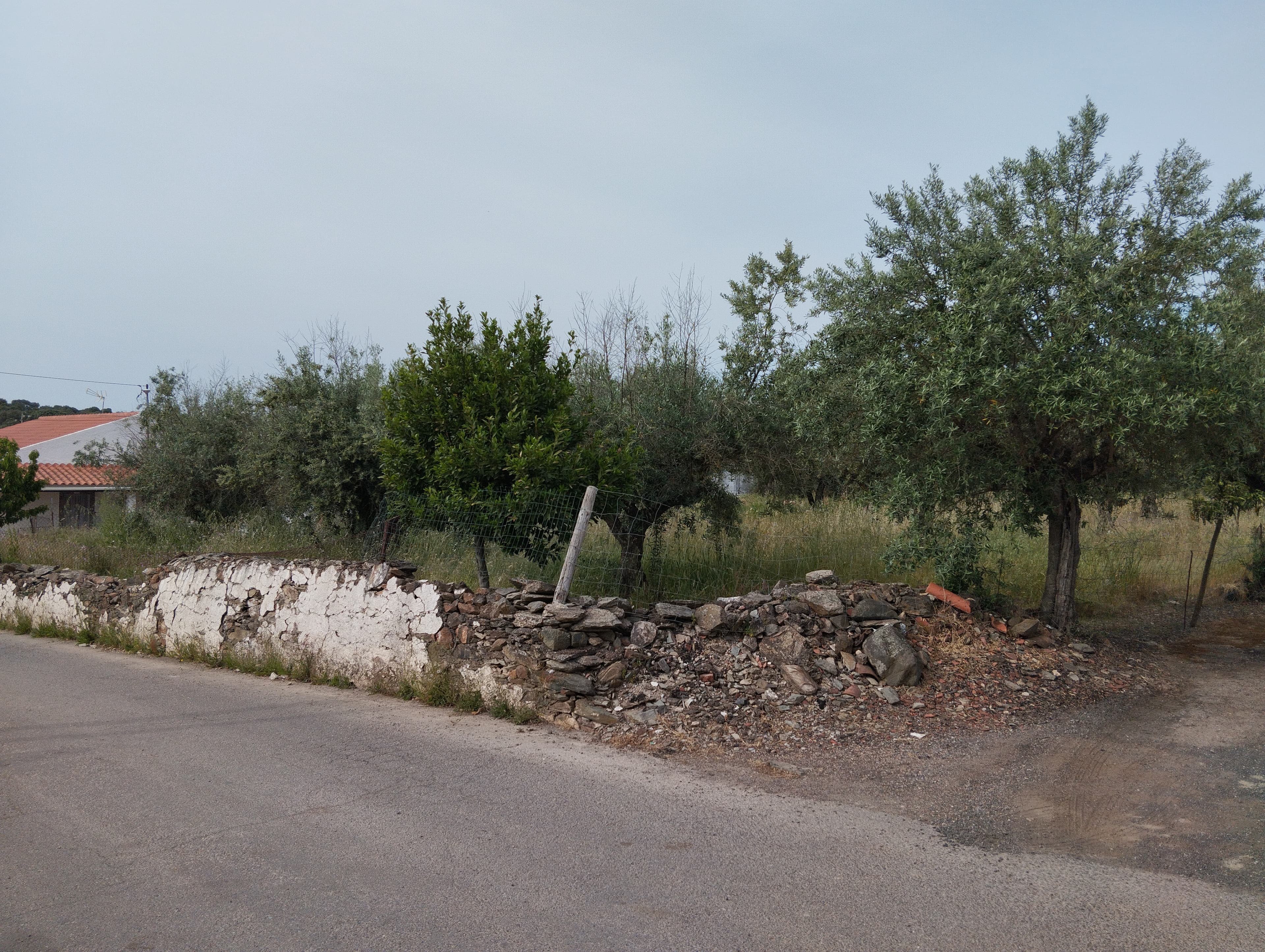 Proporção de 1/3 de Moradia · Elvas — image 7