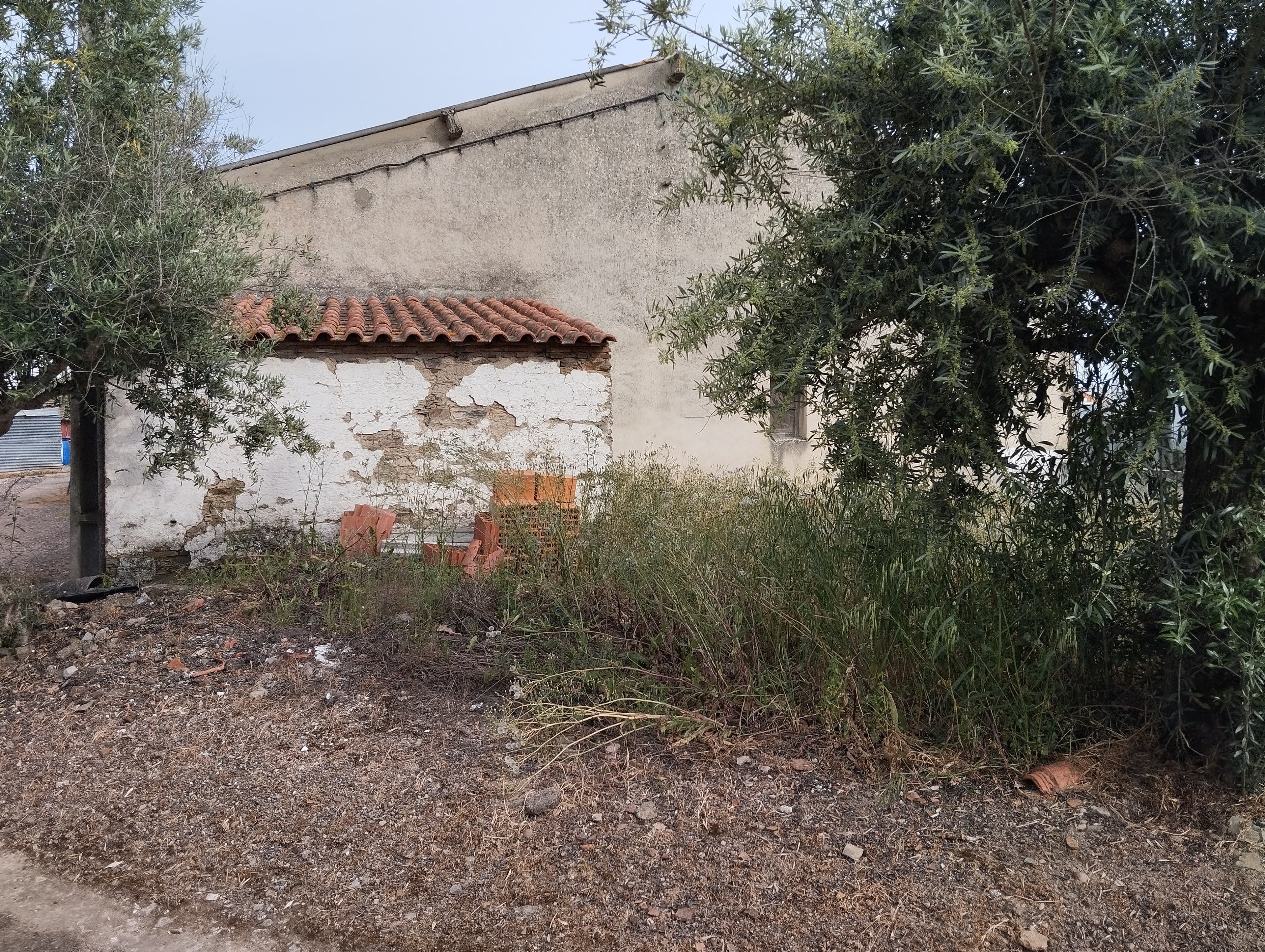 Proporção de 1/3 de Moradia · Elvas — image 6