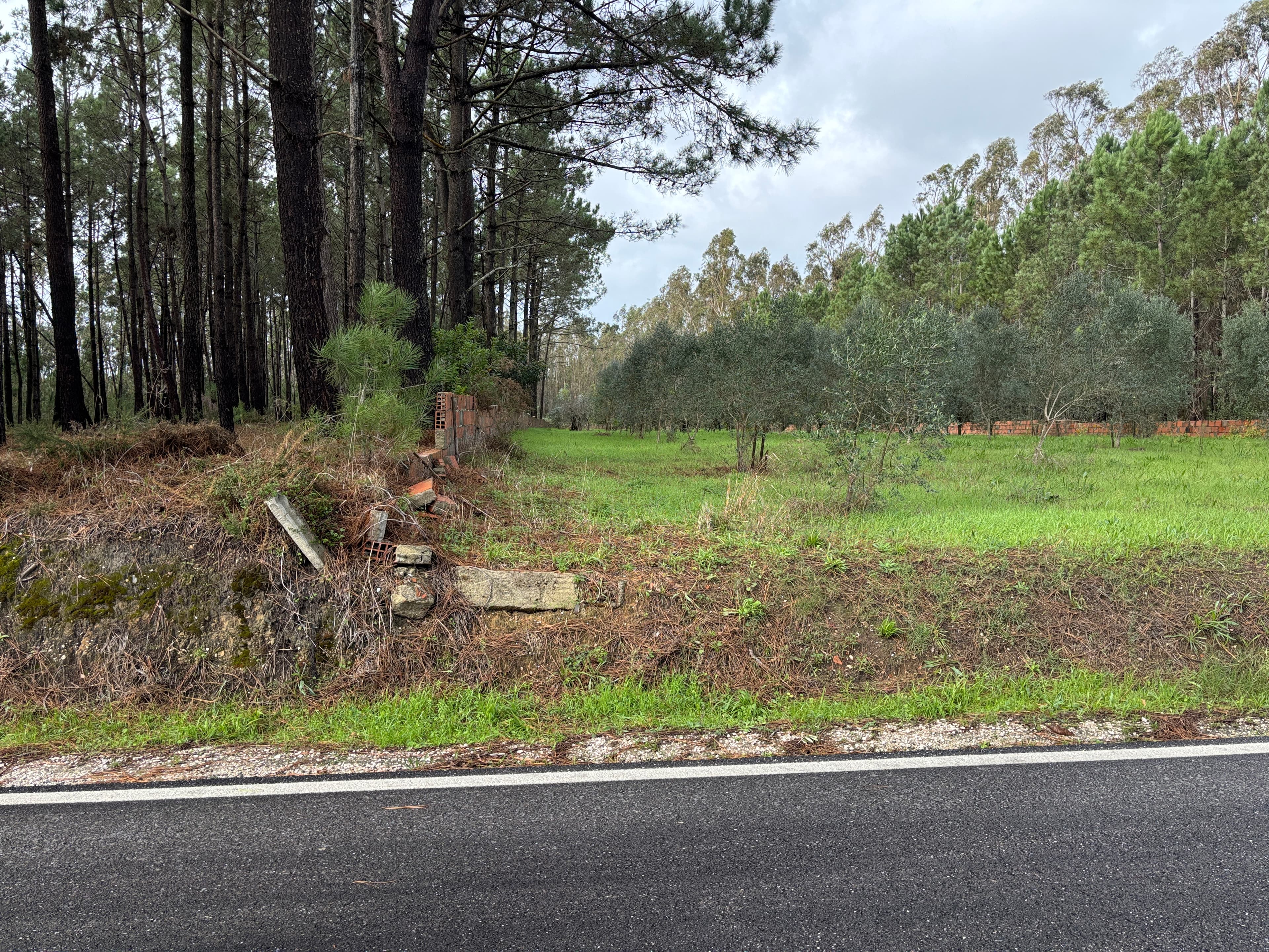 Terrenos · Pombal — image 5
