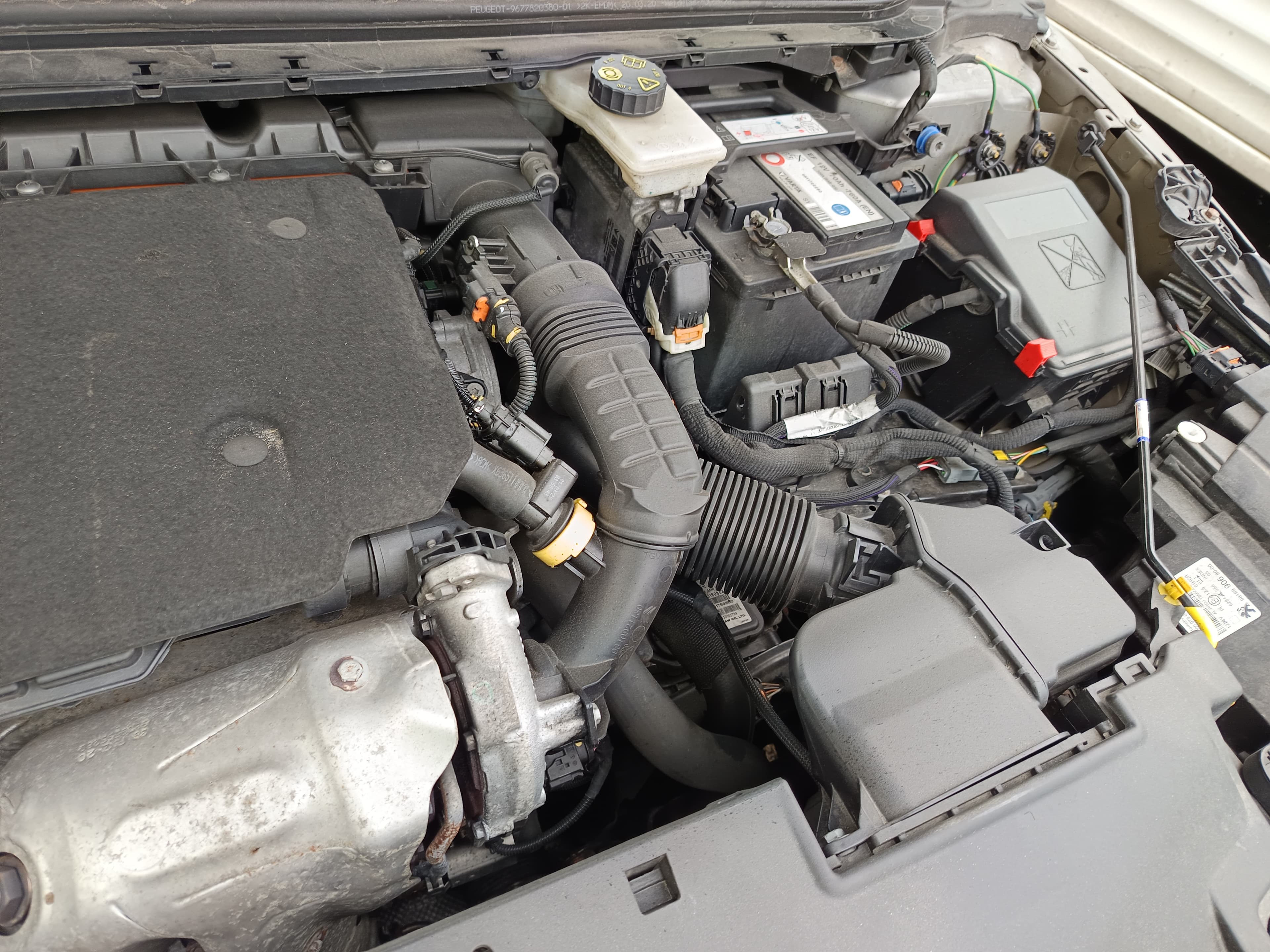 Peugeot 308 · Ano 2020 — imagem 17