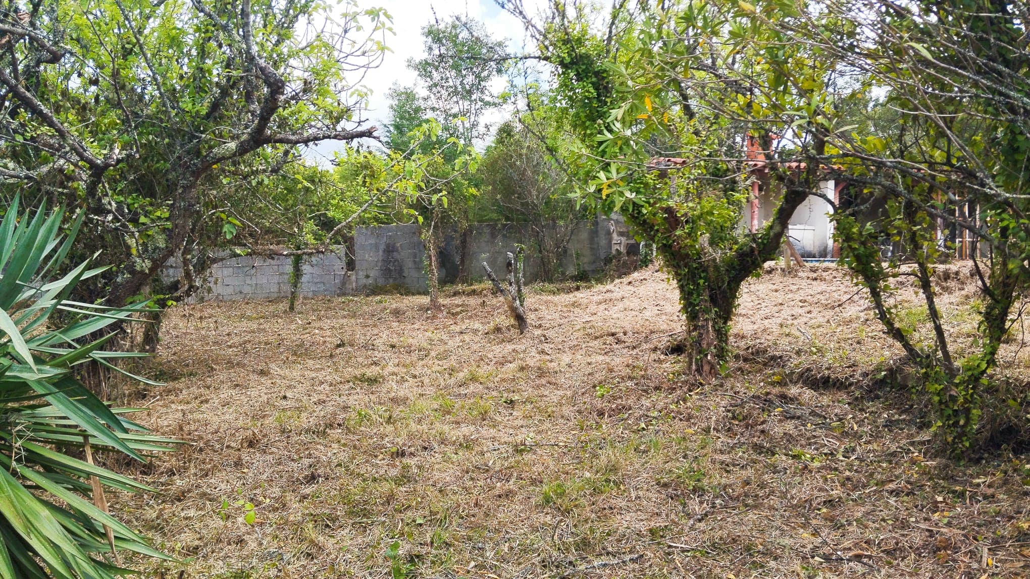 Moradia com quintal · Condeixa-a-Nova, Coimbra — imagen 9